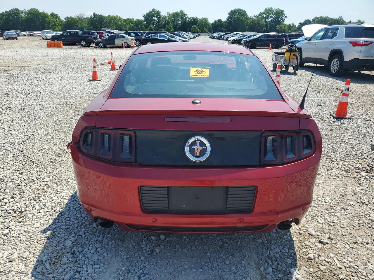 2014 Ford Mustang Красный vin: 1ZVBP8AM0E5211548