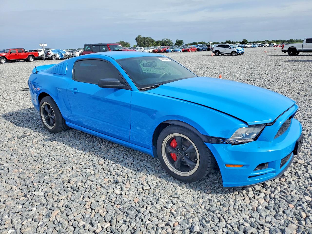 2014 Ford Mustang Blue vin: 1ZVBP8AM0E5240841