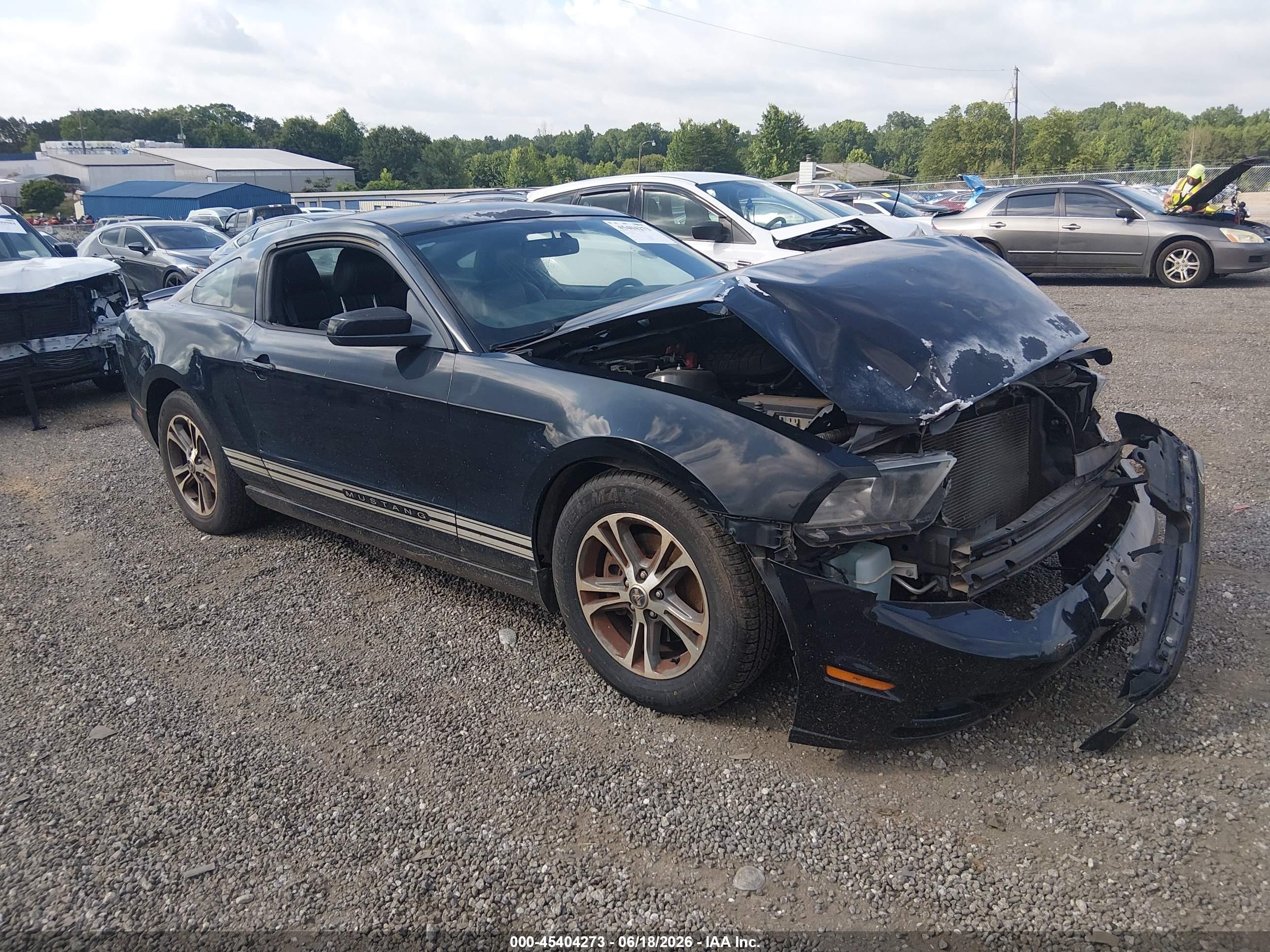 2014 Ford Mustang V6 Premium Black vin: 1ZVBP8AM0E5243884