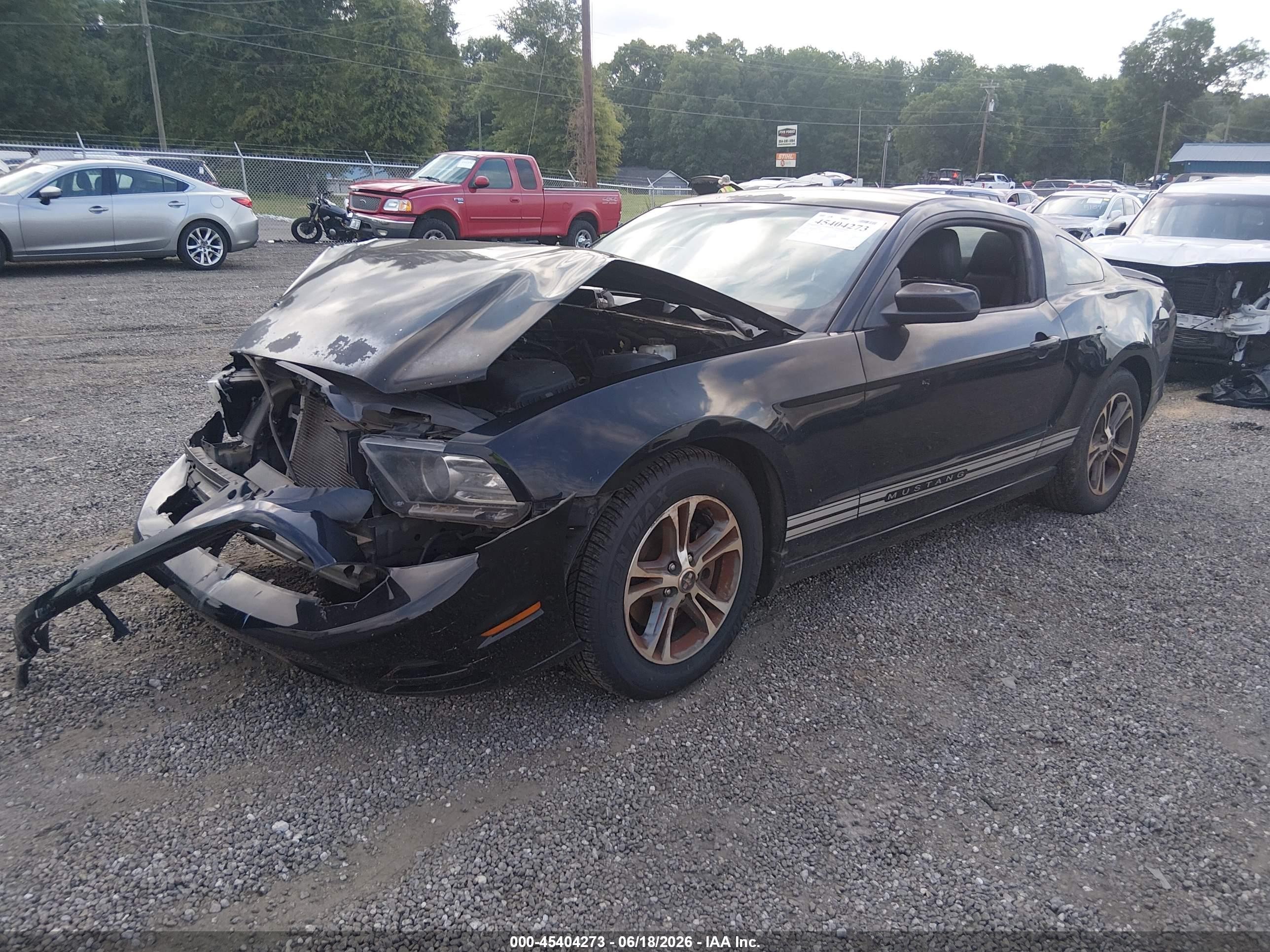 2014 Ford Mustang V6 Premium Black vin: 1ZVBP8AM0E5243884