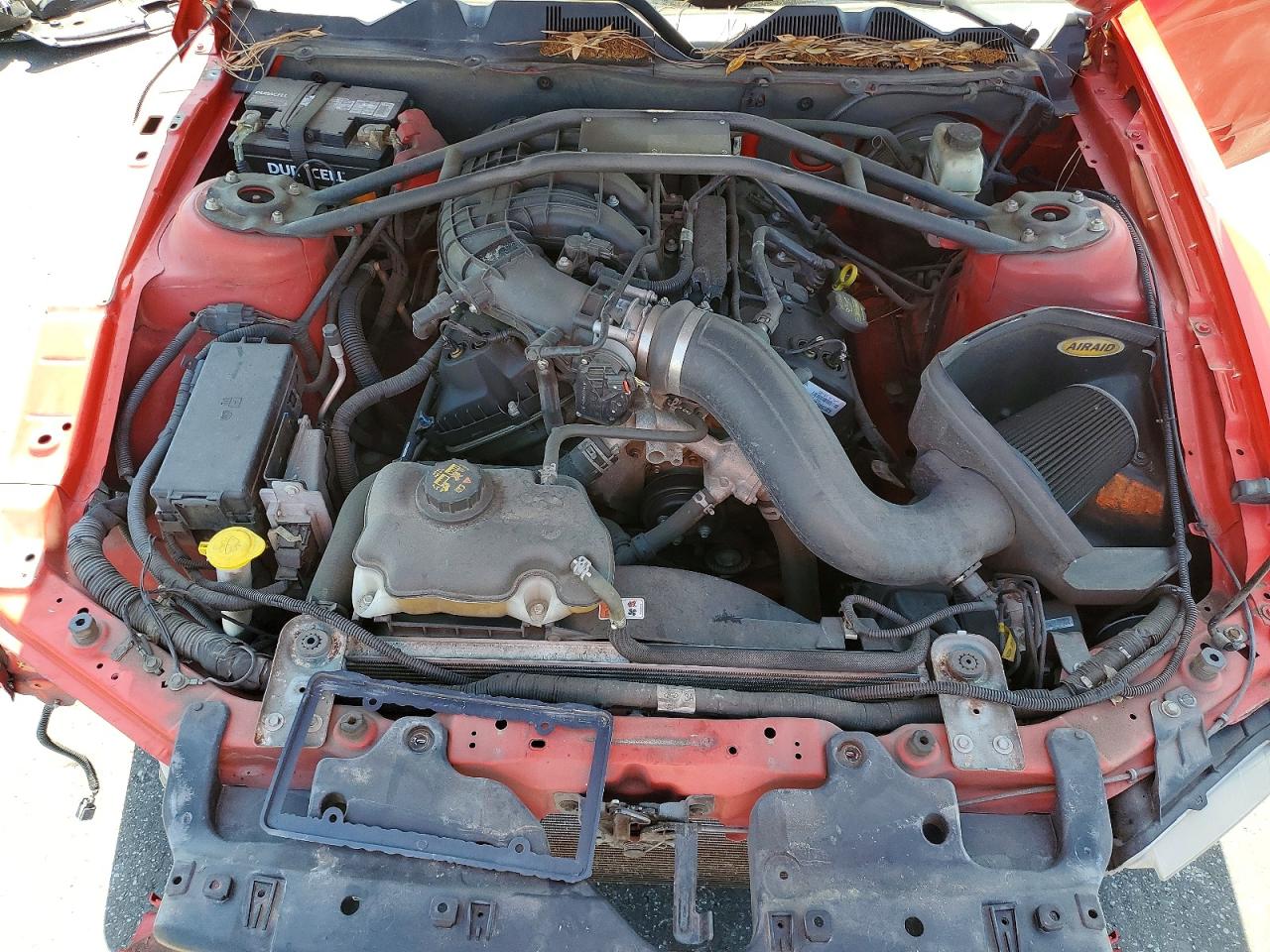 2014 Ford Mustang Red vin: 1ZVBP8AM0E5244906