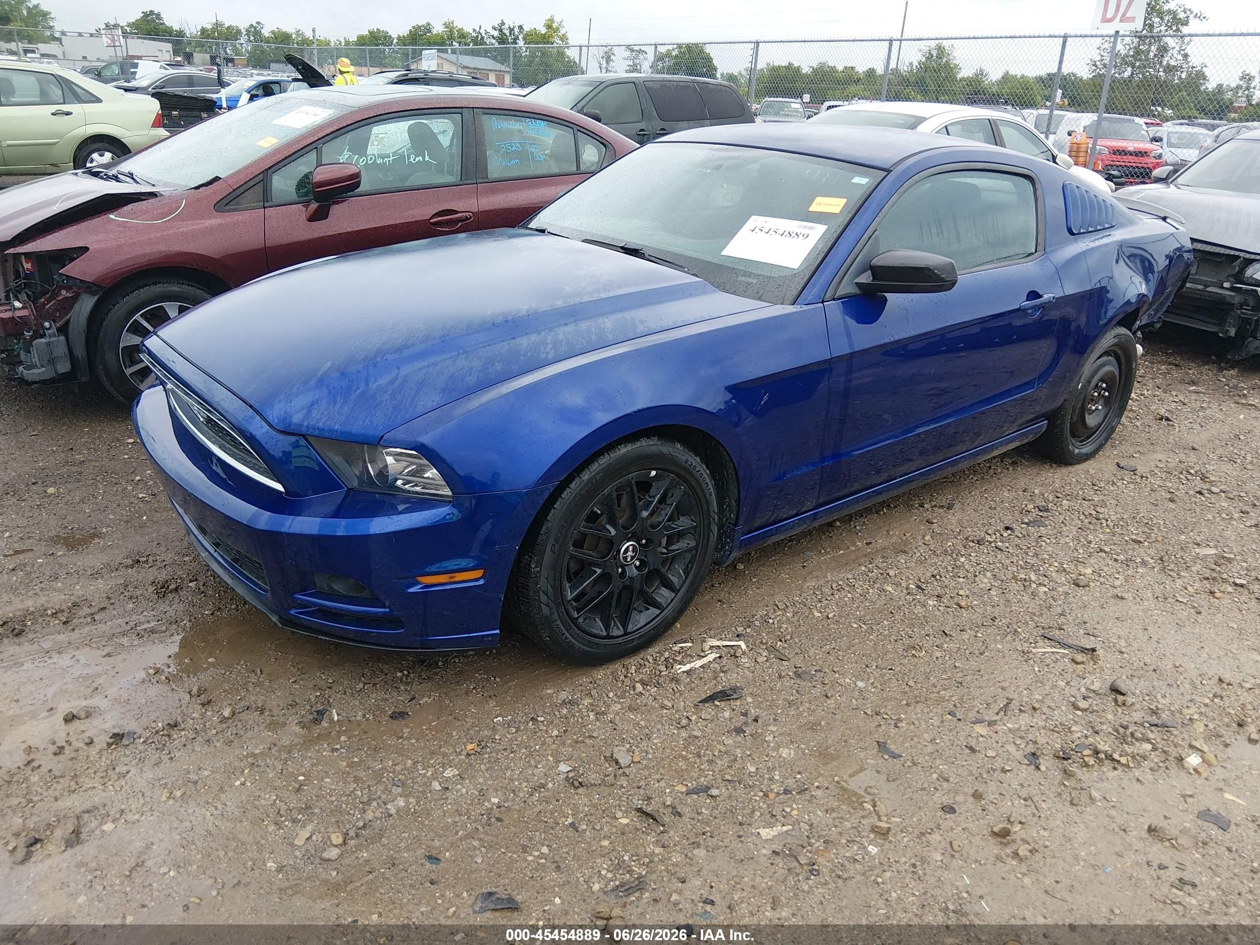 2014 Ford Mustang V6 Синий vin: 1ZVBP8AM0E5260913