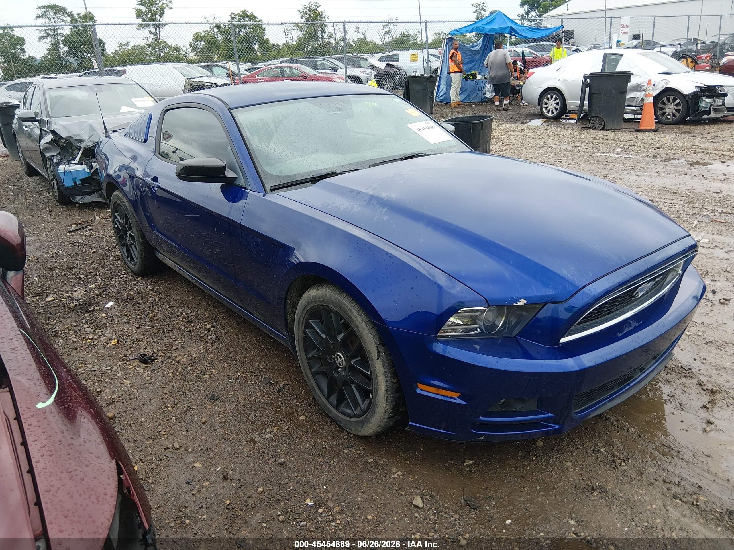 2014 Ford Mustang V6 Синий vin: 1ZVBP8AM0E5260913