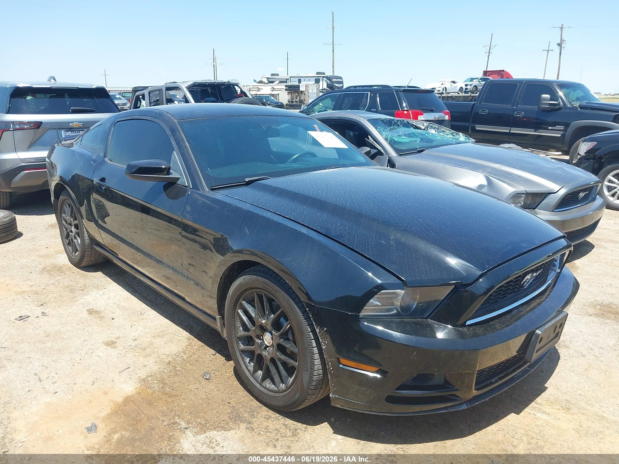 2014 Ford Mustang V6/v6 Premium Black vin: 1ZVBP8AM0E5266274