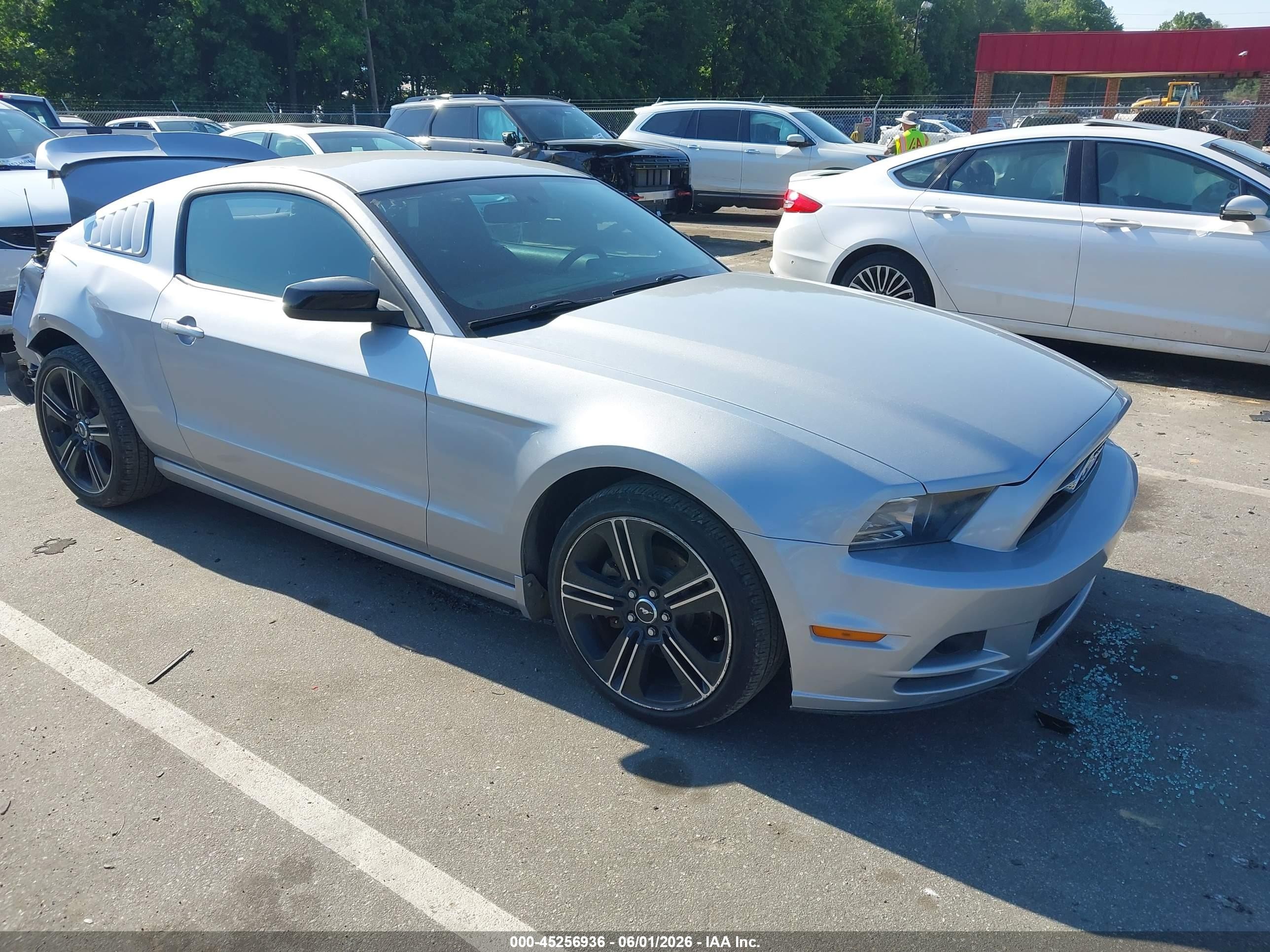 2014 Ford Mustang V6 Silver vin: 1ZVBP8AM0E5269417