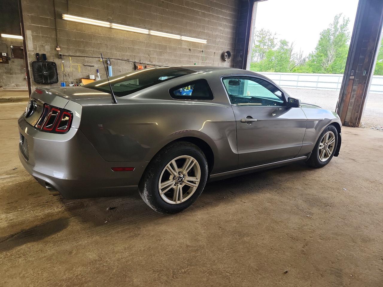 2014 Ford Mustang Gray vin: 1ZVBP8AM0E5290879