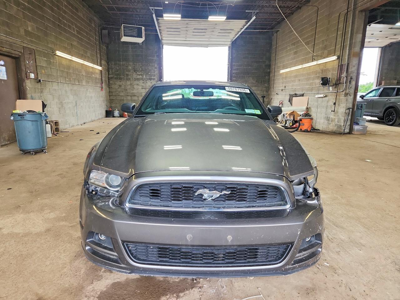 2014 Ford Mustang Gray vin: 1ZVBP8AM0E5290879