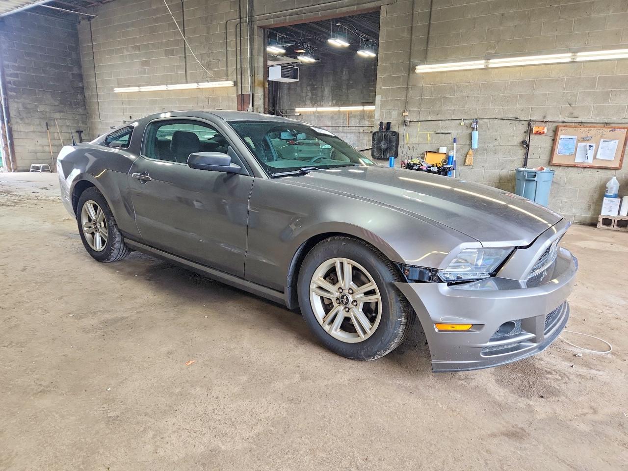 2014 Ford Mustang Gray vin: 1ZVBP8AM0E5290879