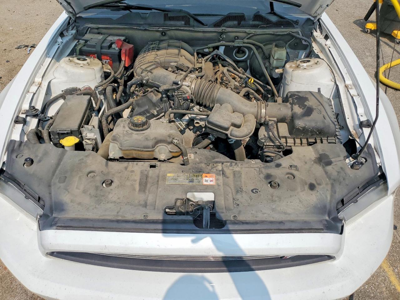 2014 Ford Mustang Белый vin: 1ZVBP8AM0E5312962