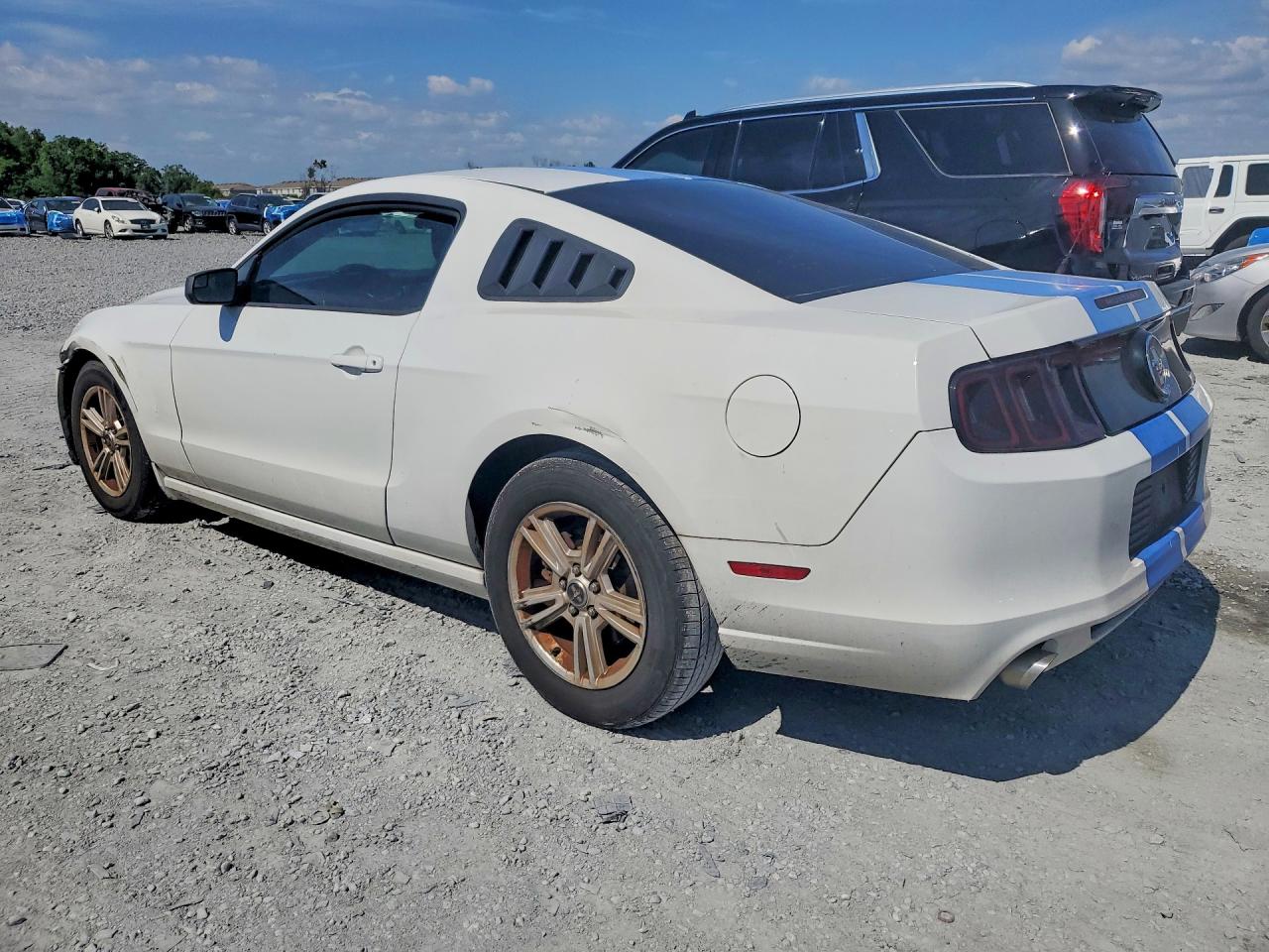 2014 Ford Mustang White vin: 1ZVBP8AM0E5330782