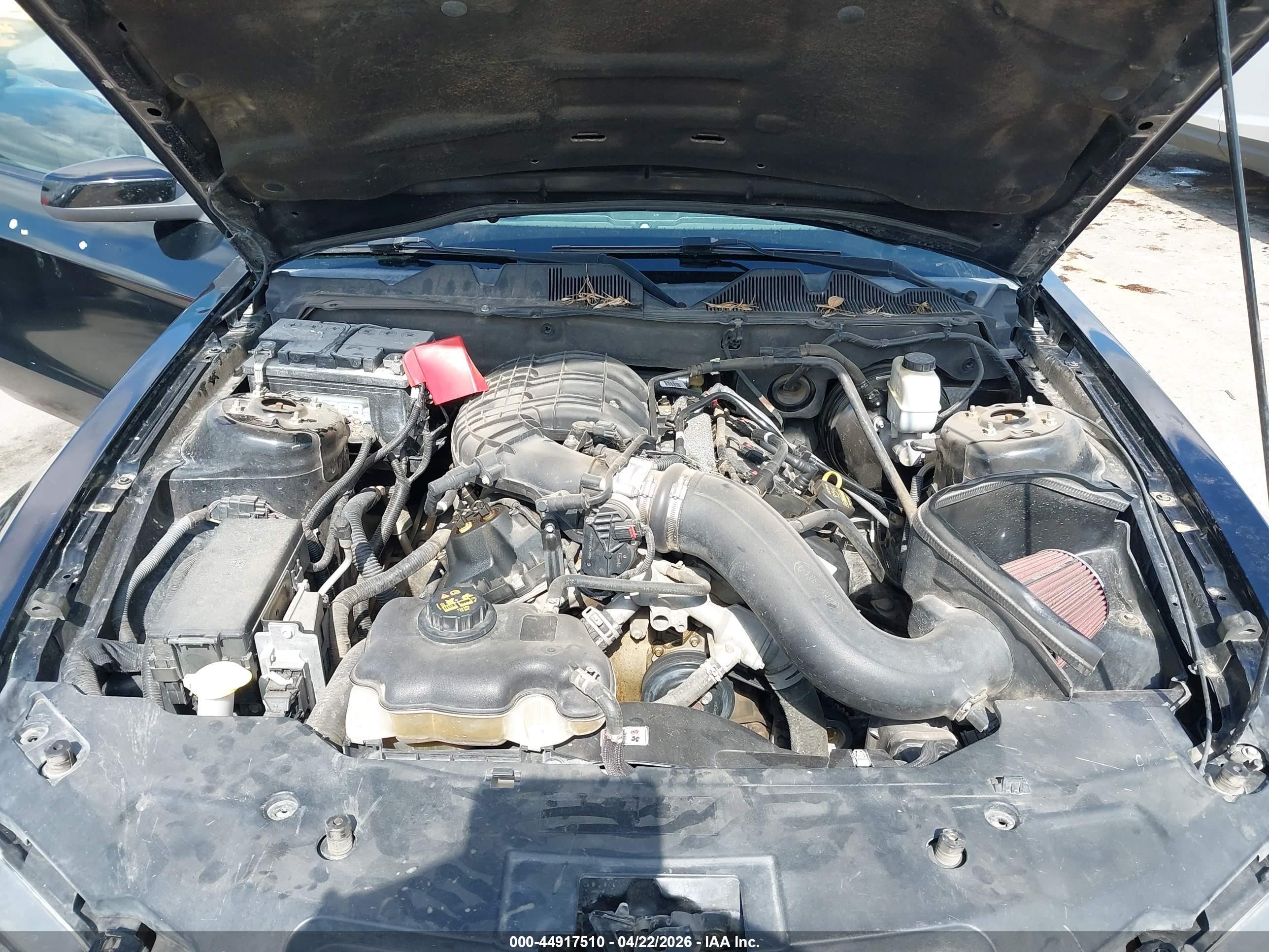 2011 Ford Mustang V6 Premium Черный vin: 1ZVBP8AM1B5103659