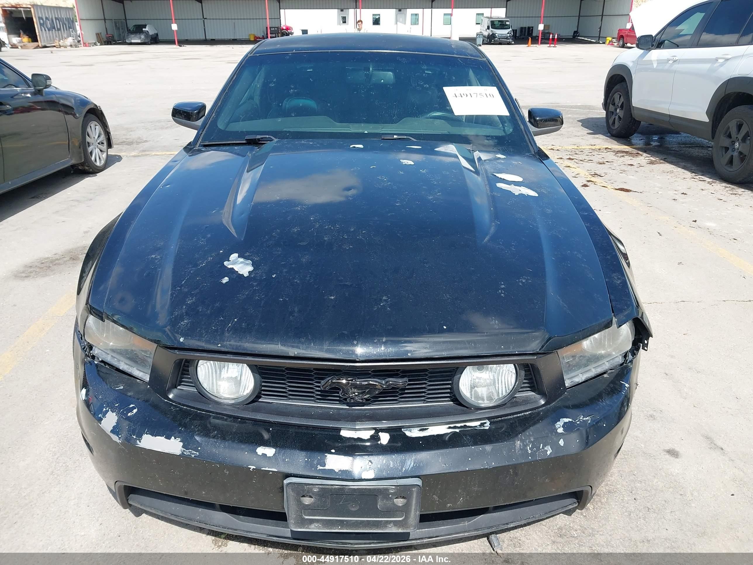 2011 Ford Mustang V6 Premium Черный vin: 1ZVBP8AM1B5103659