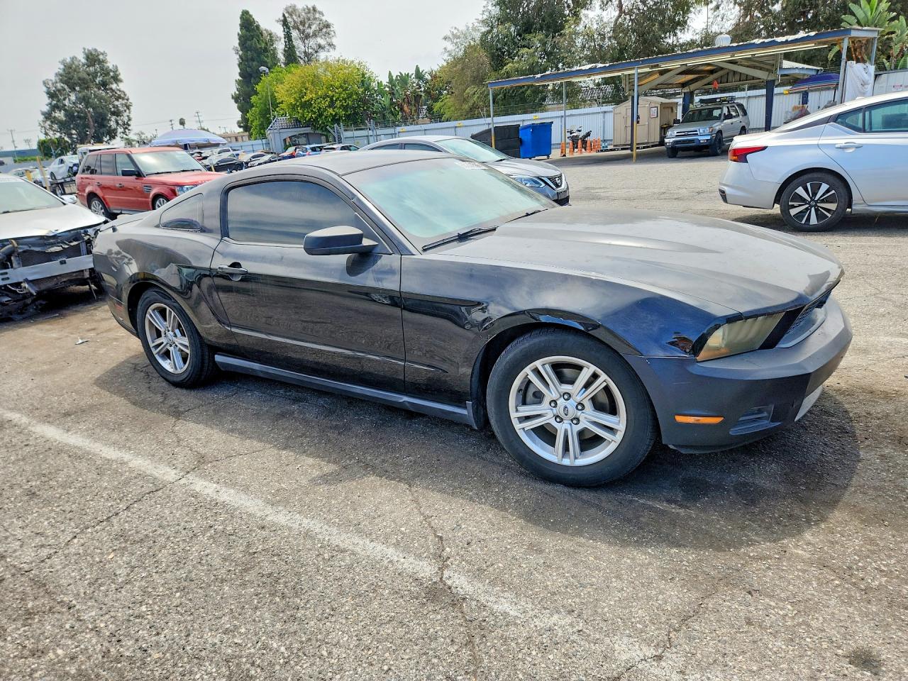 2011 Ford Mustang Black vin: 1ZVBP8AM1B5125998