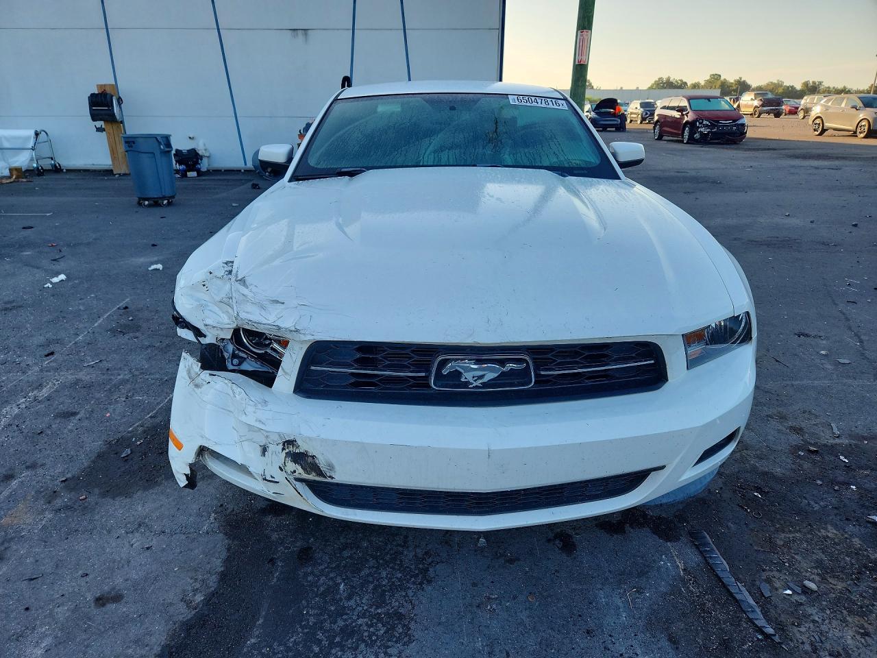 2012 Ford Mustang Белый vin: 1ZVBP8AM1C5200314
