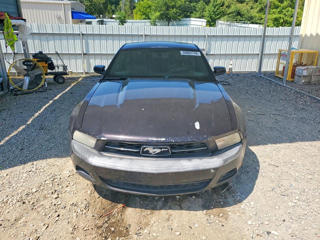 2012 Ford Mustang Черный vin: 1ZVBP8AM1C5205996