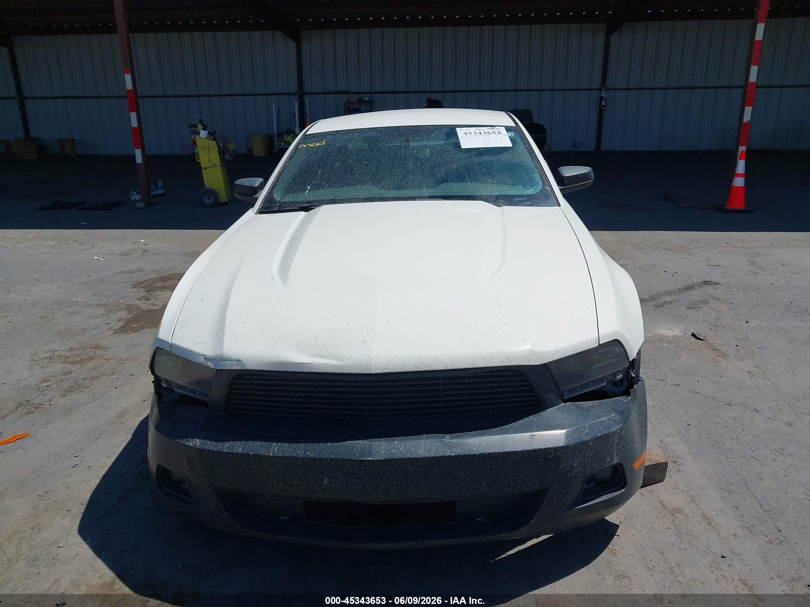 2012 Ford Mustang V6 Premium Белый vin: 1ZVBP8AM1C5268130