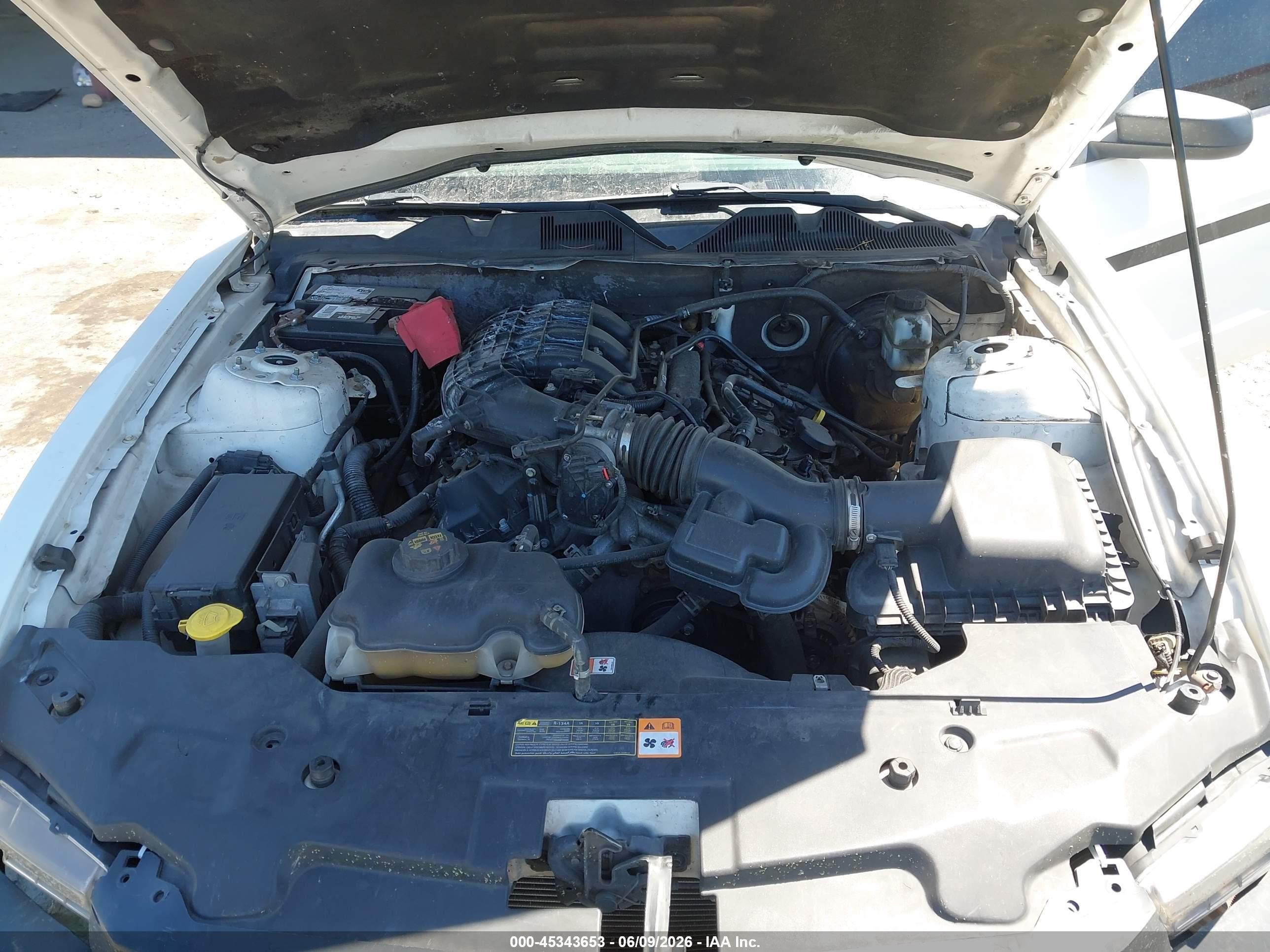 2012 Ford Mustang V6 Premium Белый vin: 1ZVBP8AM1C5268130