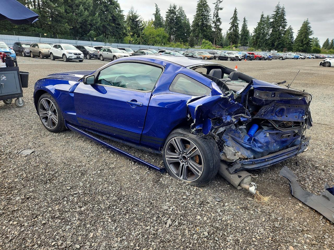 2013 Ford Mustang Blue vin: 1ZVBP8AM1D5202646