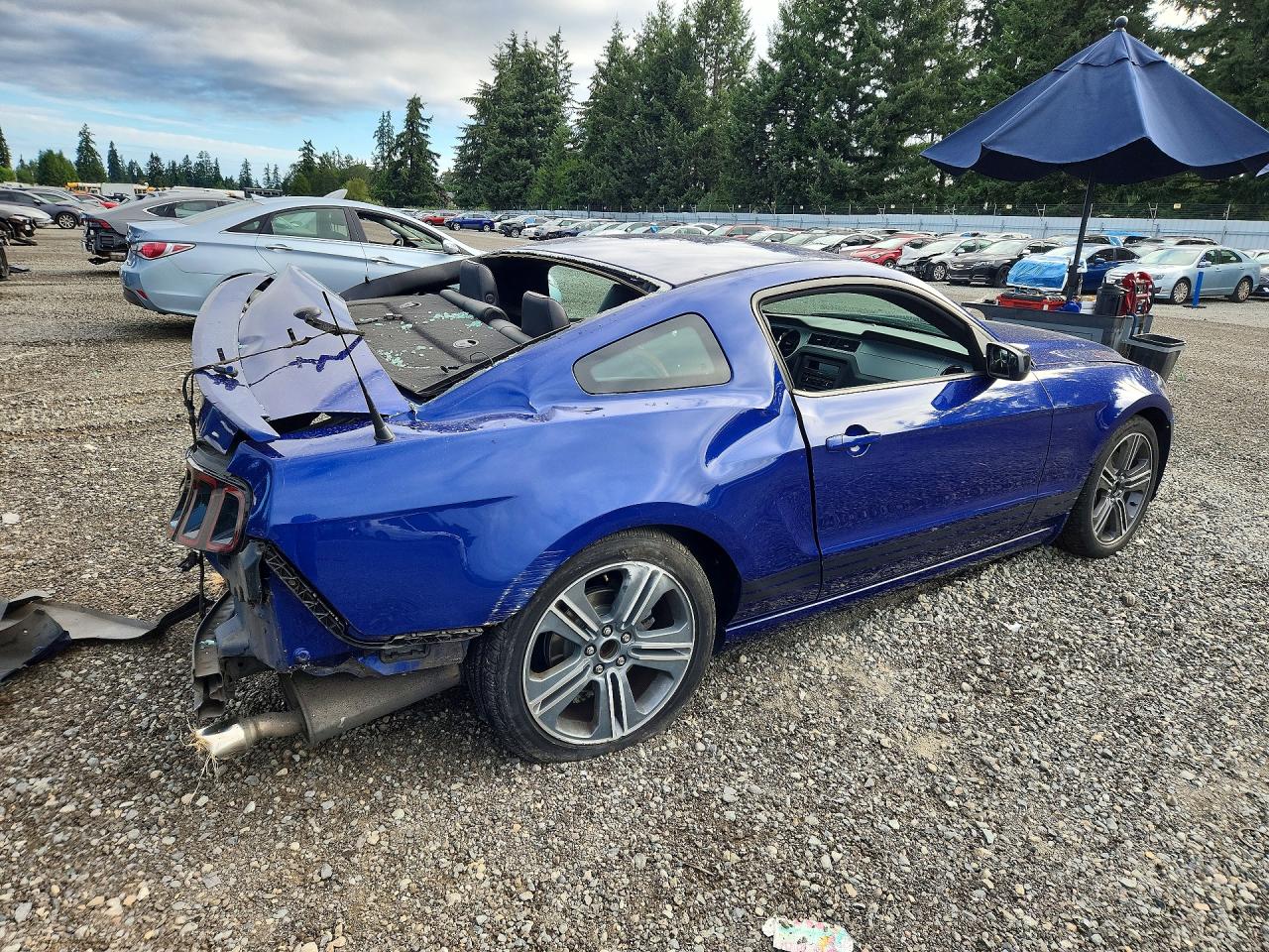 2013 Ford Mustang Blue vin: 1ZVBP8AM1D5202646