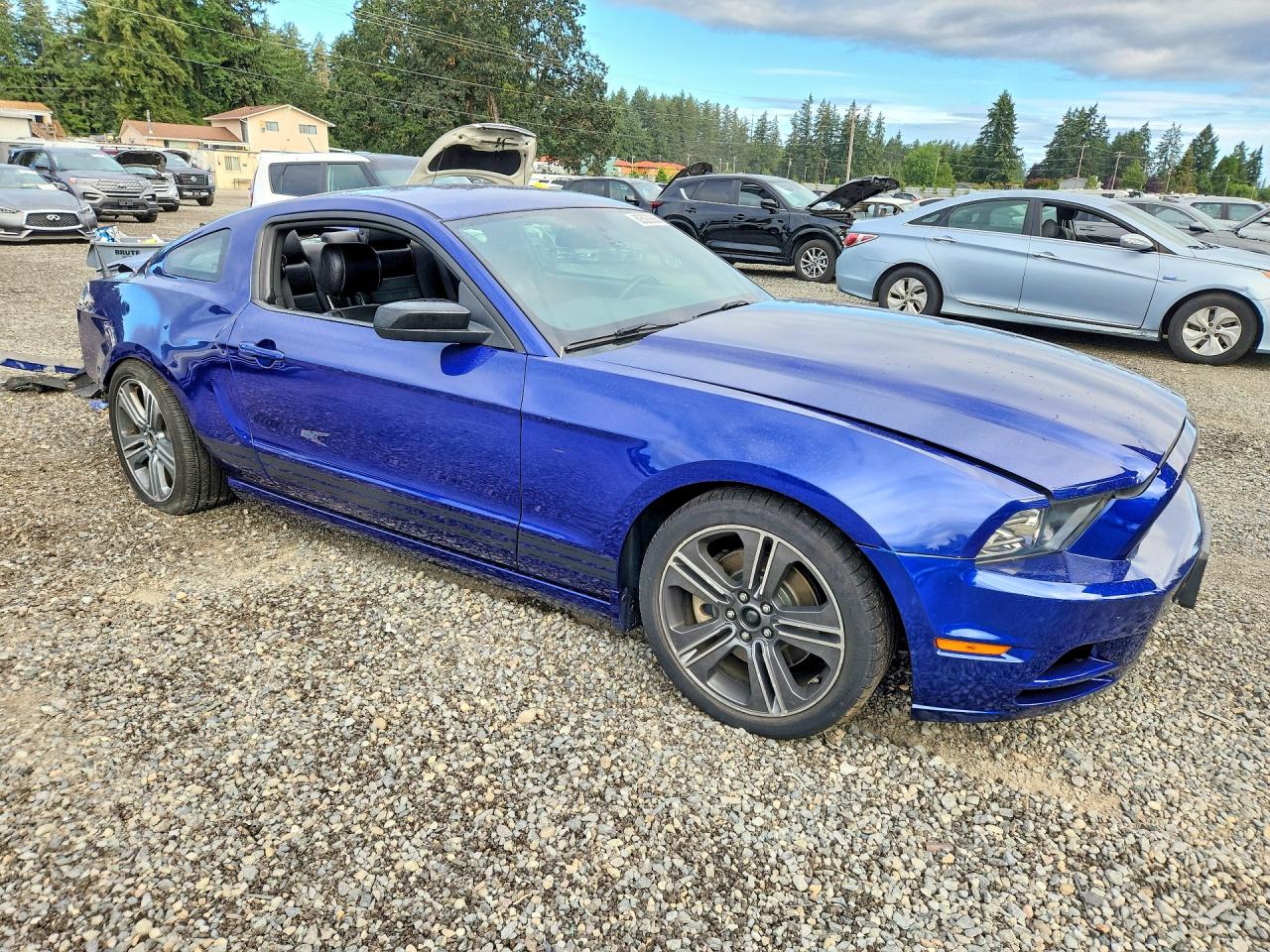 2013 Ford Mustang Blue vin: 1ZVBP8AM1D5202646