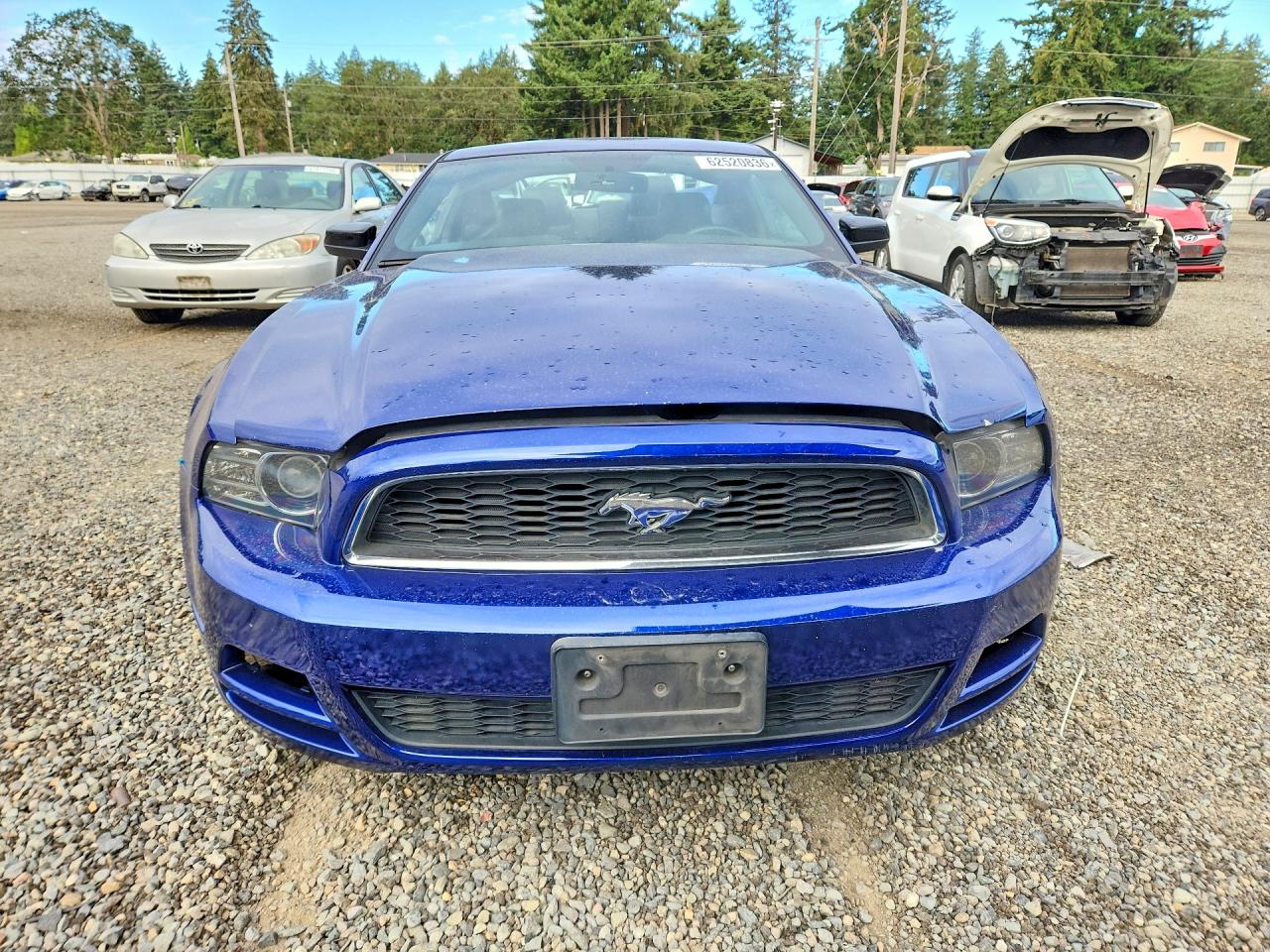 2013 Ford Mustang Blue vin: 1ZVBP8AM1D5202646