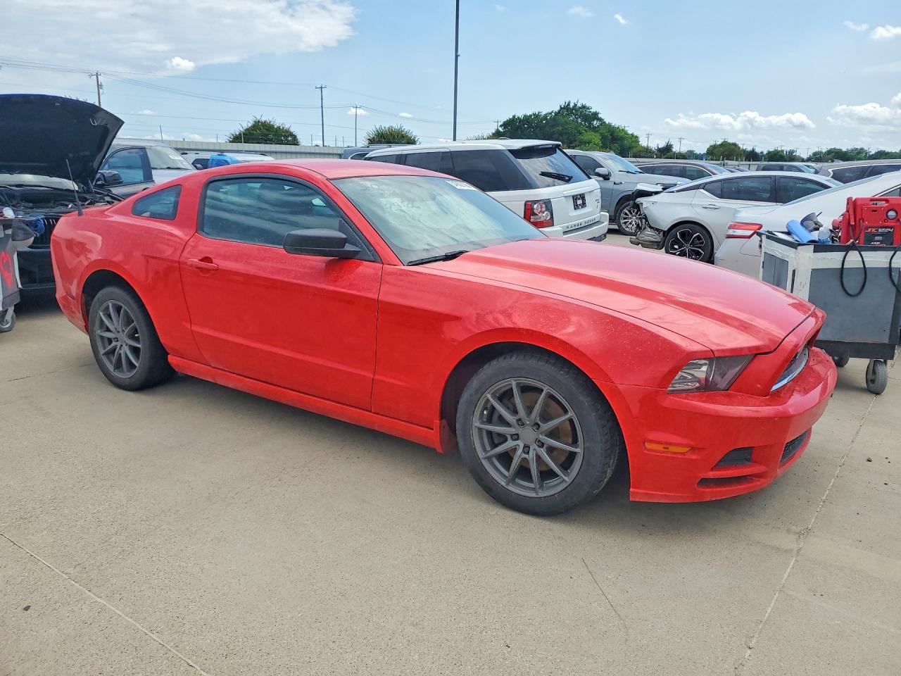 2013 Ford Mustang Красный vin: 1ZVBP8AM1D5227739