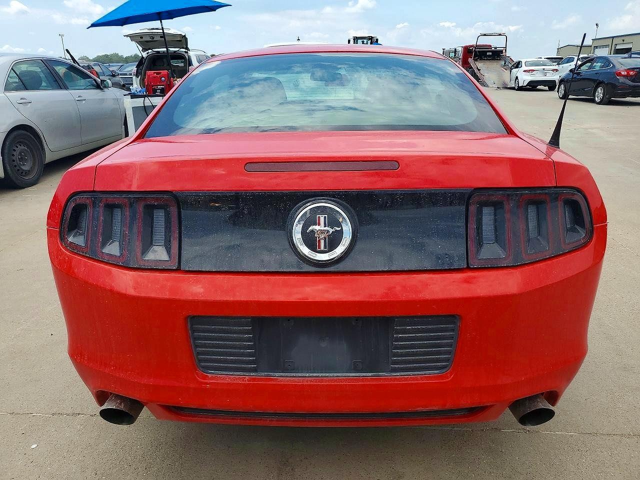 2013 Ford Mustang Красный vin: 1ZVBP8AM1D5227739