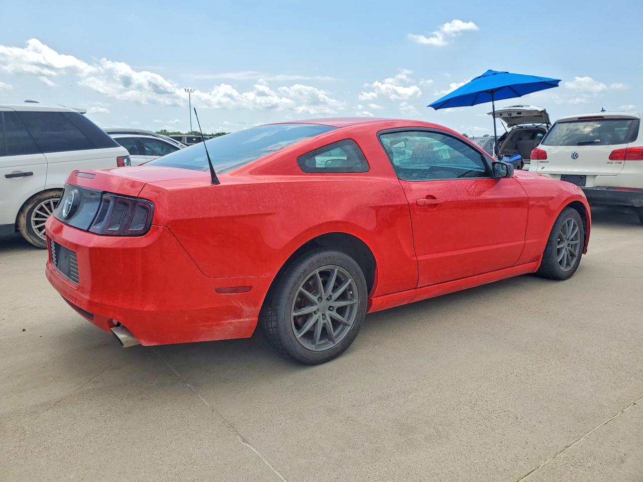 2013 Ford Mustang Красный vin: 1ZVBP8AM1D5227739