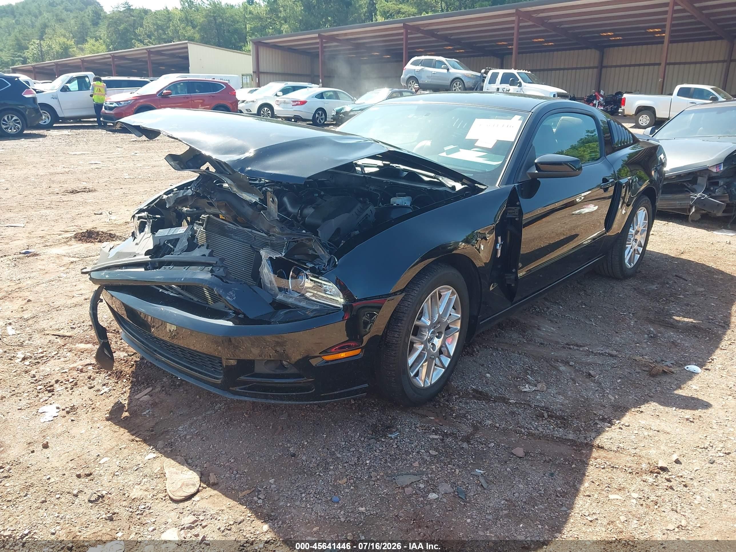 2013 Ford Mustang V6 Premium Black vin: 1ZVBP8AM1D5250552