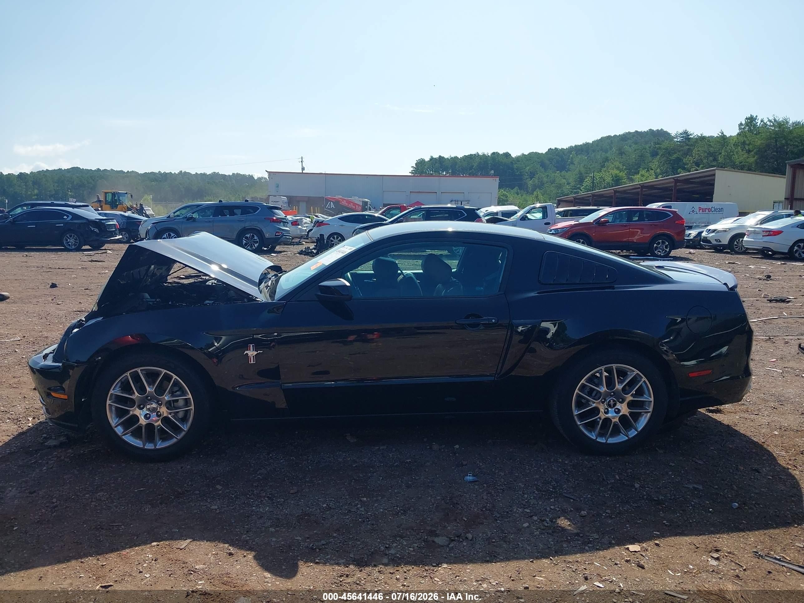 2013 Ford Mustang V6 Premium Black vin: 1ZVBP8AM1D5250552