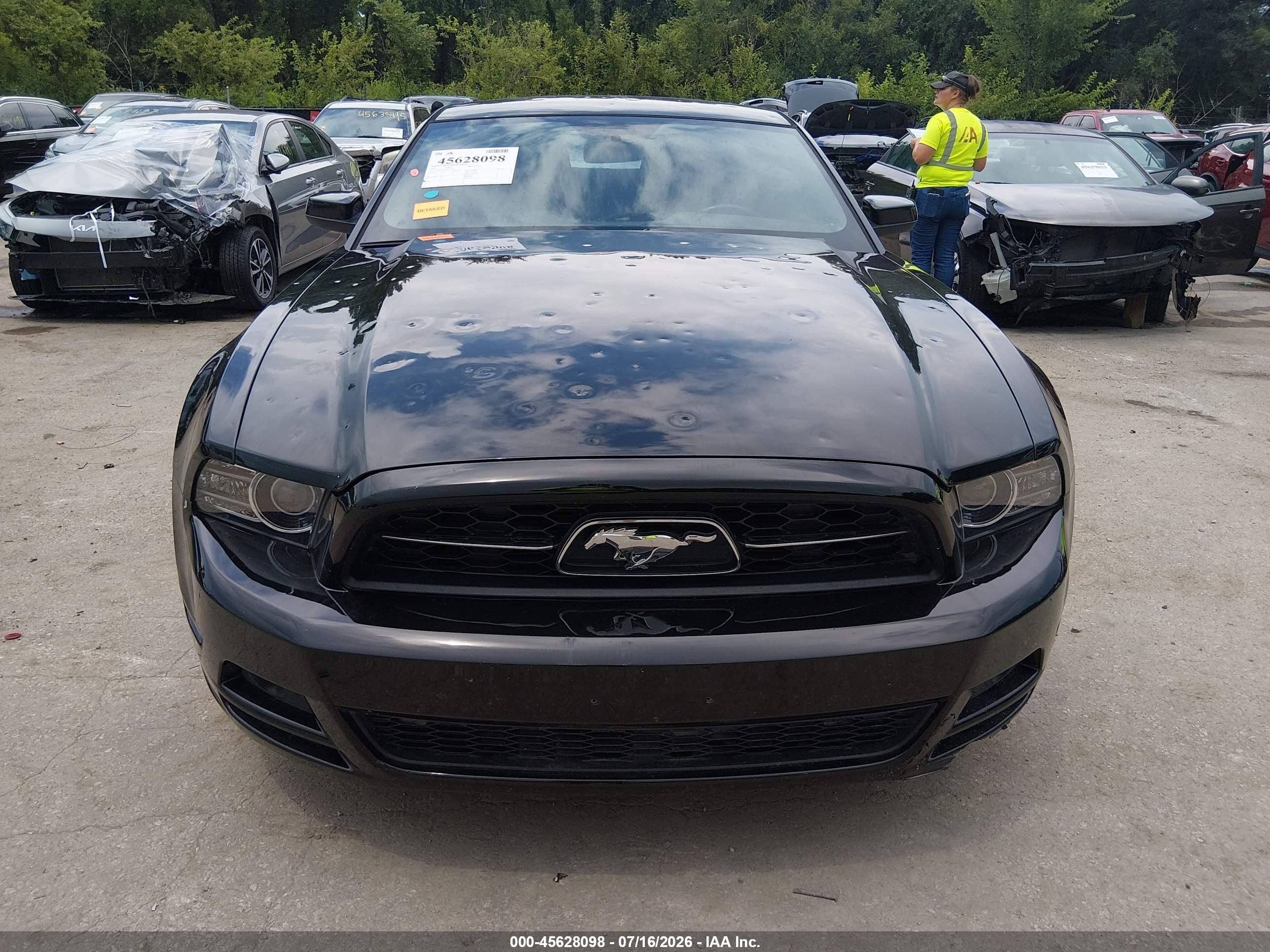 2013 Ford Mustang V6/v6 Premium Black vin: 1ZVBP8AM1D5257453