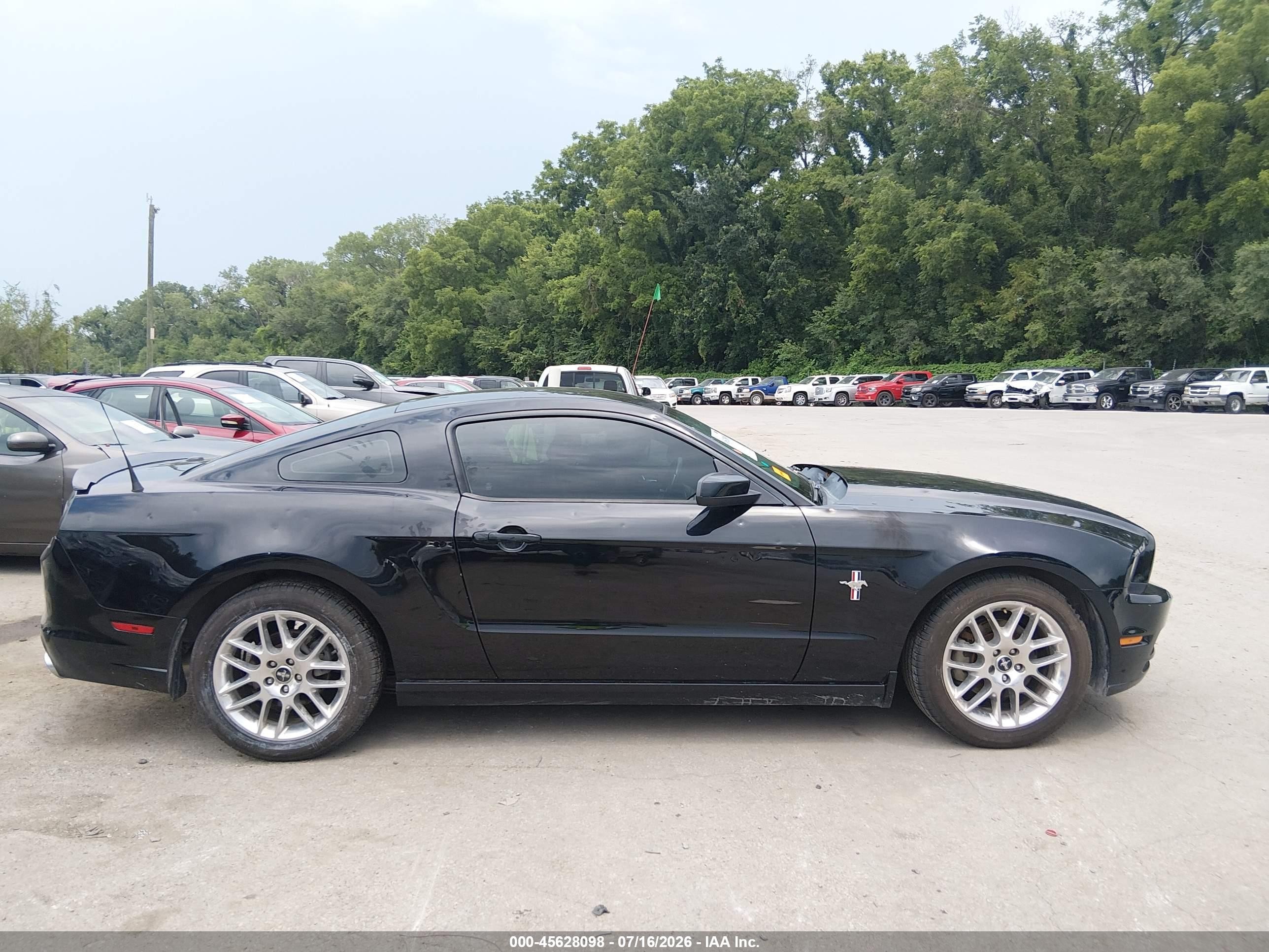 2013 Ford Mustang V6/v6 Premium Black vin: 1ZVBP8AM1D5257453