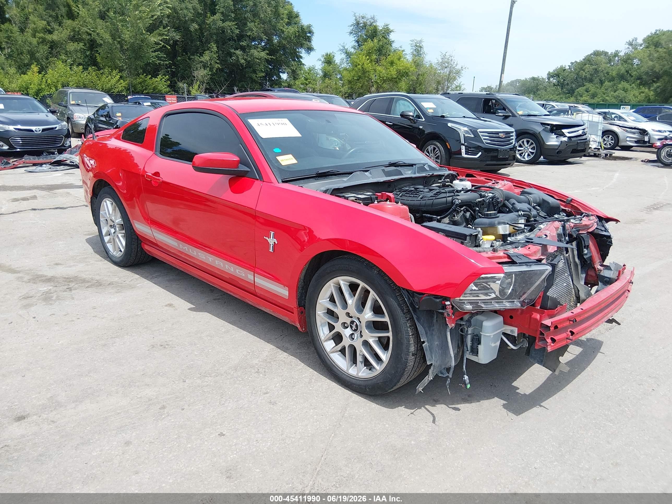 2013 Ford Mustang V6 Premium Красный vin: 1ZVBP8AM1D5259347