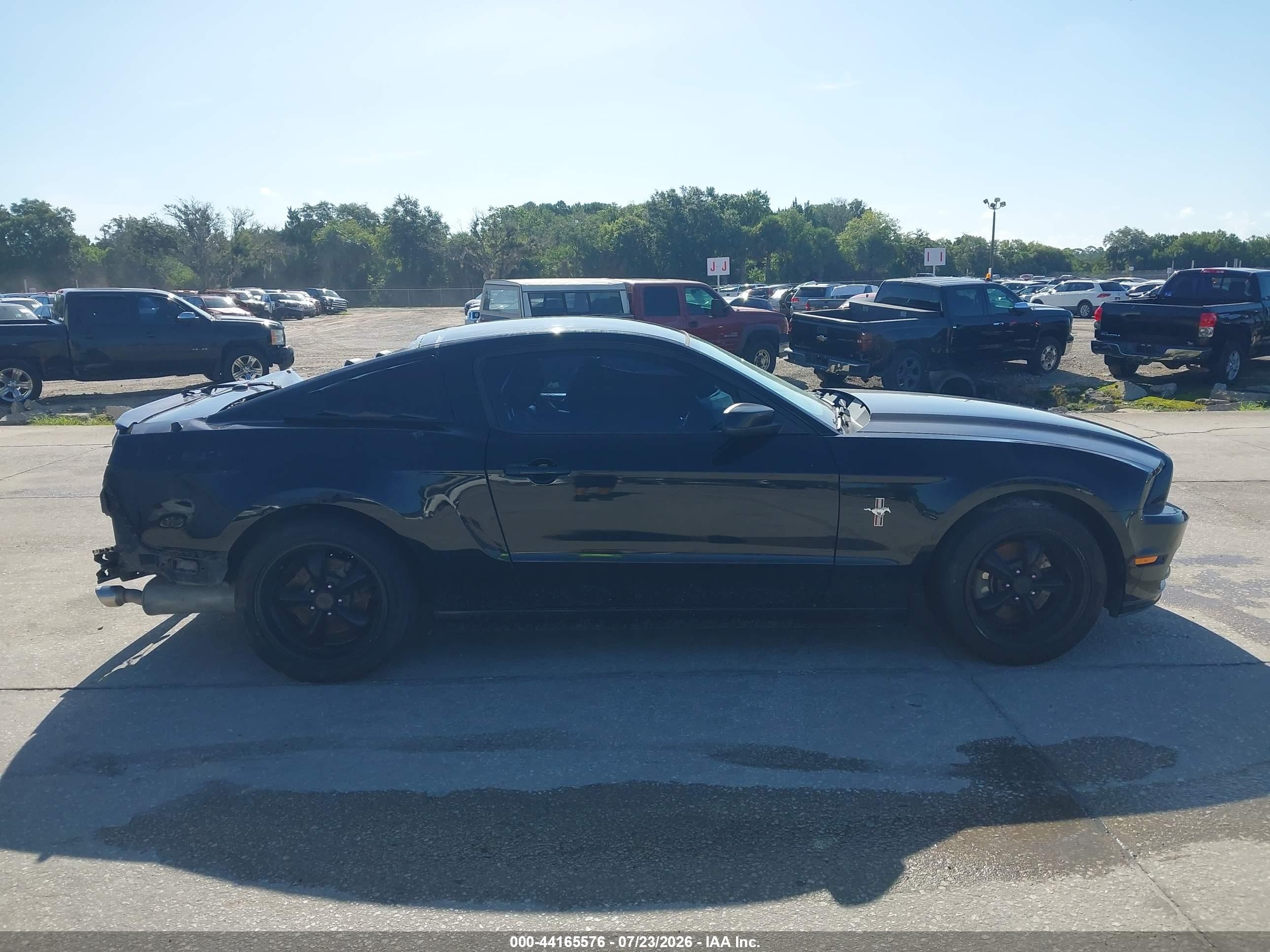 2013 Ford Mustang V6 Premium Black vin: 1ZVBP8AM1D5266024
