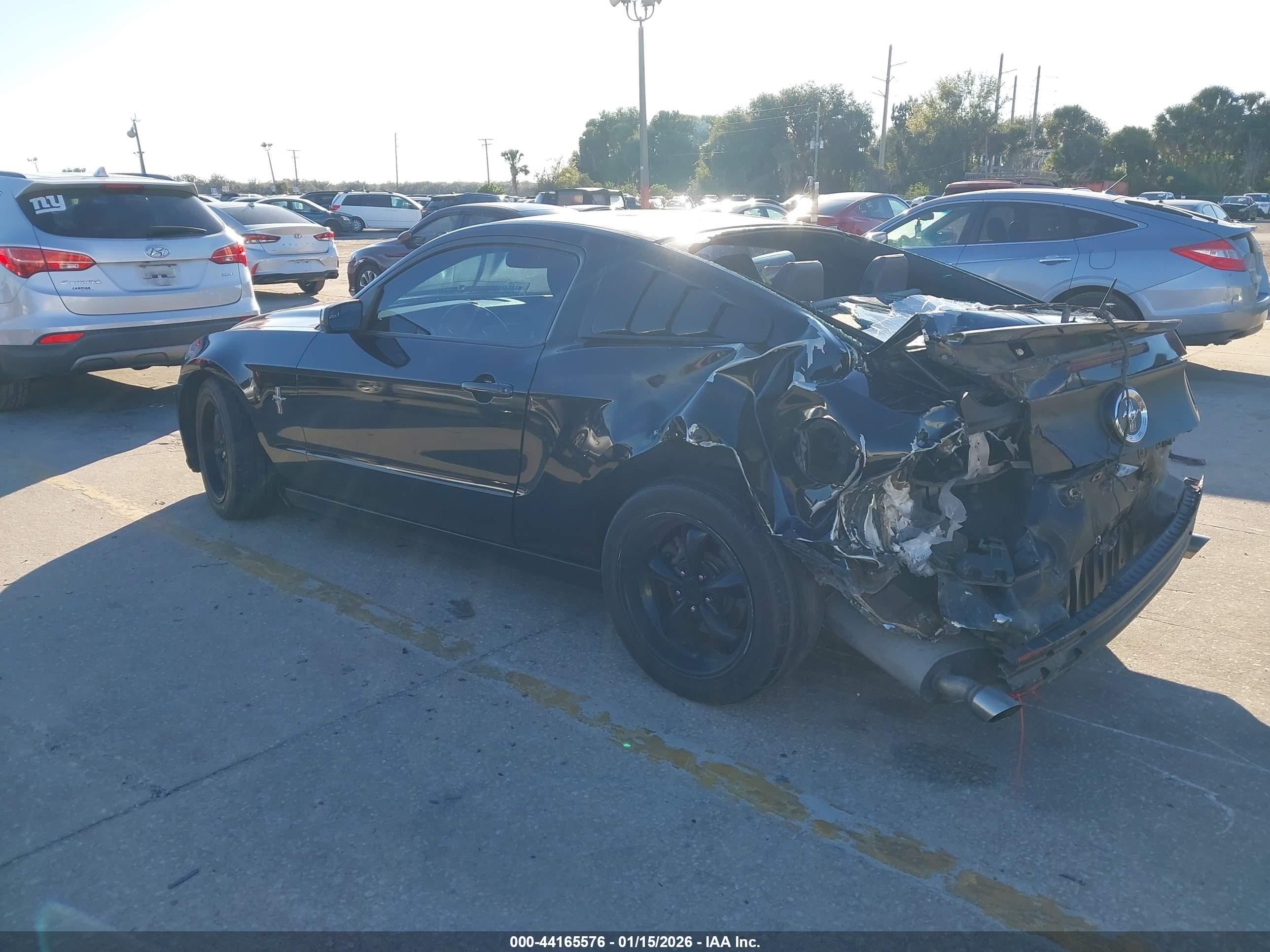 2013 Ford Mustang V6 Premium Black vin: 1ZVBP8AM1D5266024