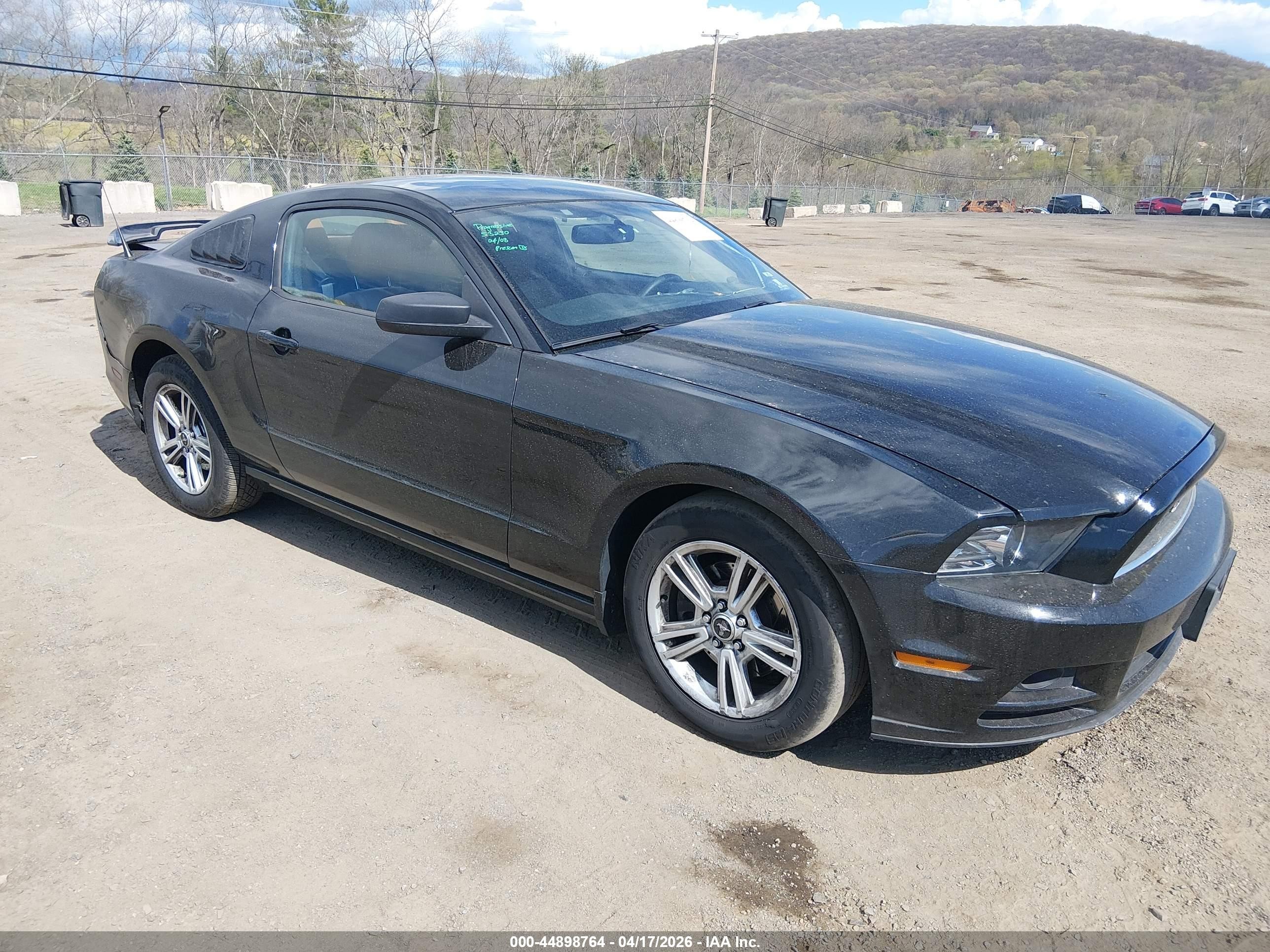 2013 Ford Mustang V6 Black vin: 1ZVBP8AM1D5280750