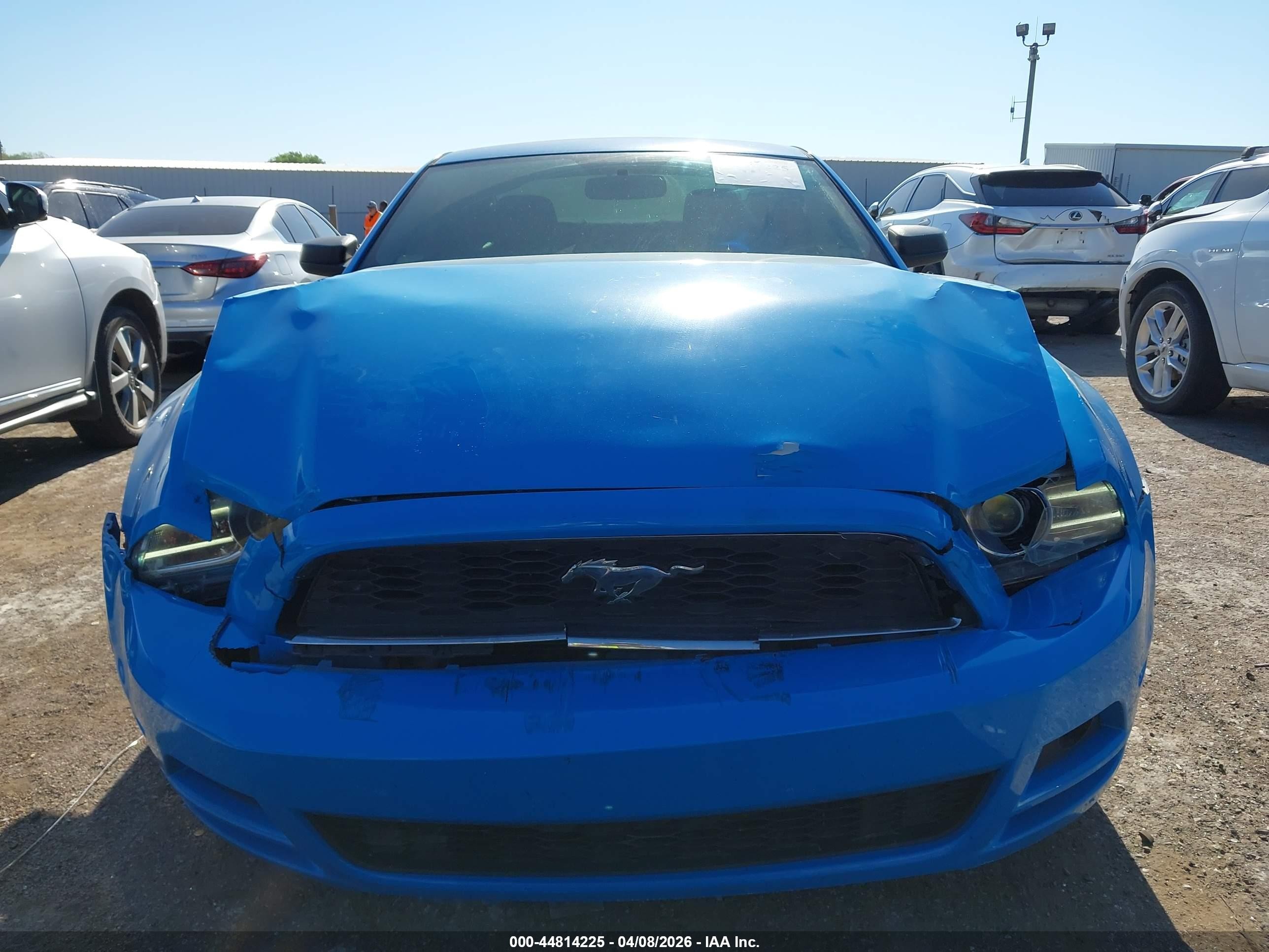2014 Ford Mustang V6 Blue vin: 1ZVBP8AM1E5203863