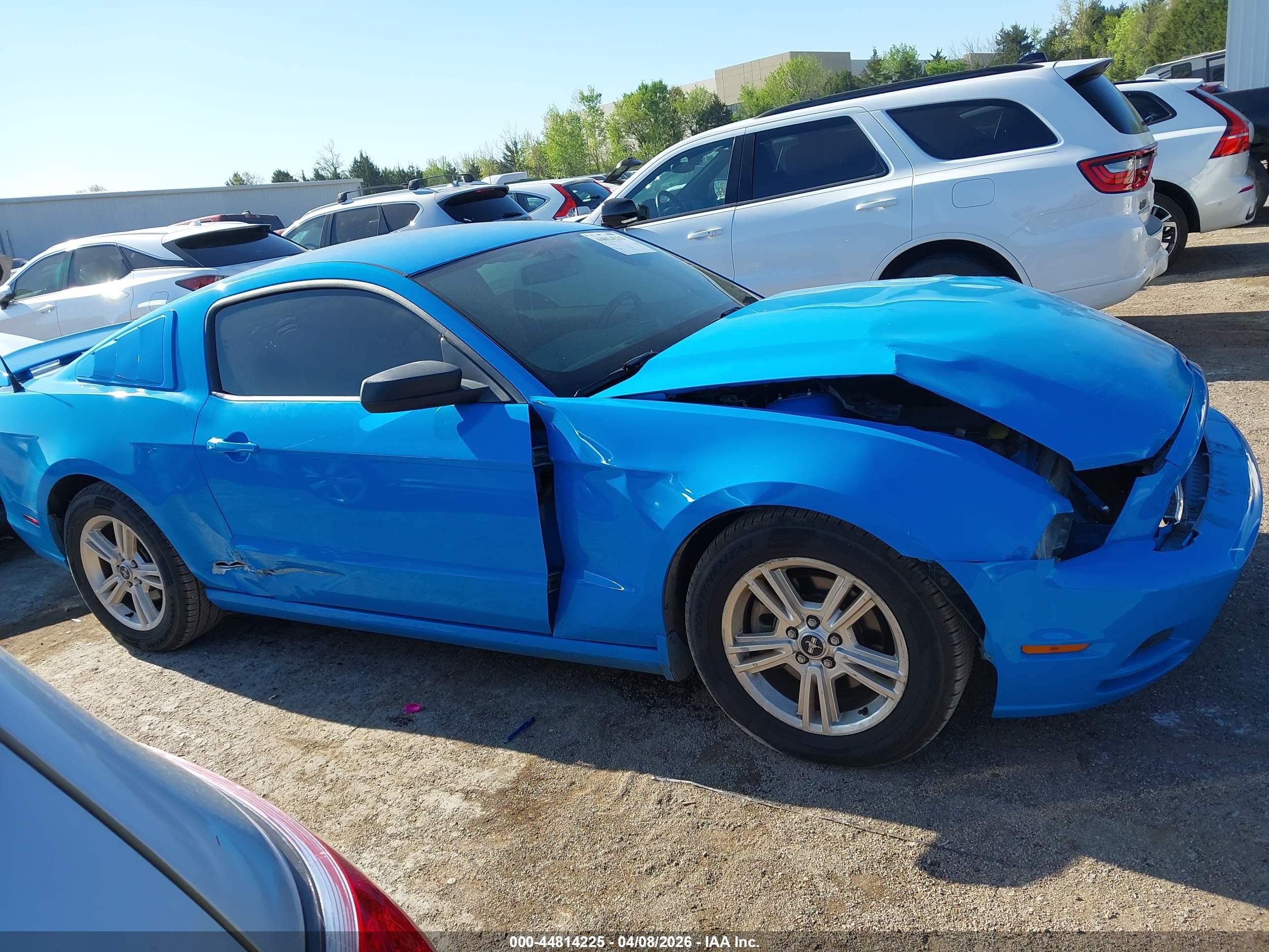 2014 Ford Mustang V6 Blue vin: 1ZVBP8AM1E5203863