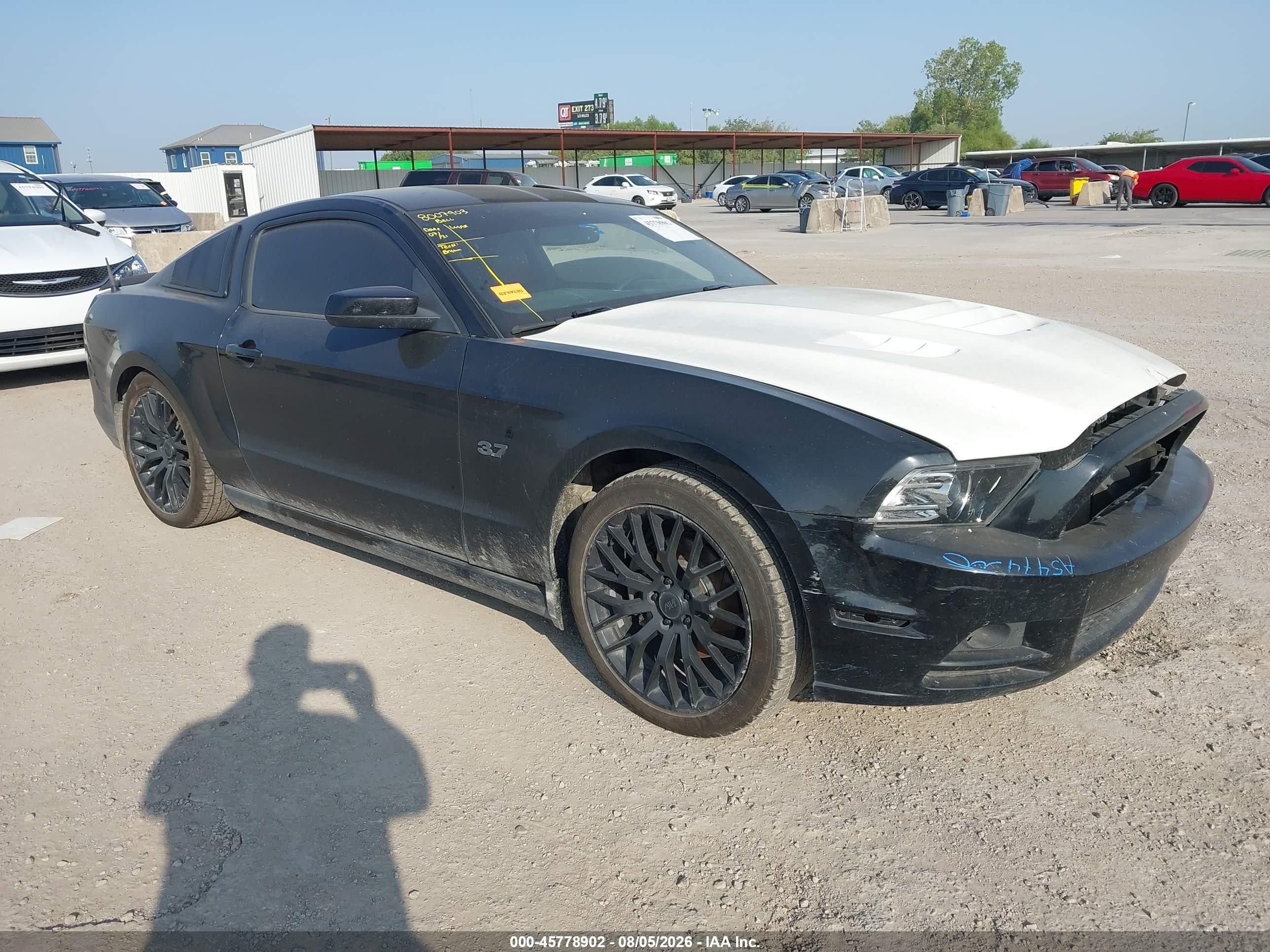 2014 Ford Mustang V6 Premium Black vin: 1ZVBP8AM1E5204317