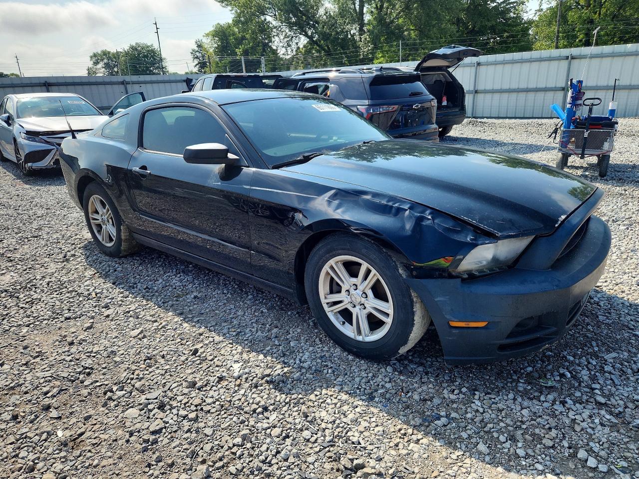 2014 Ford Mustang Black vin: 1ZVBP8AM1E5215964