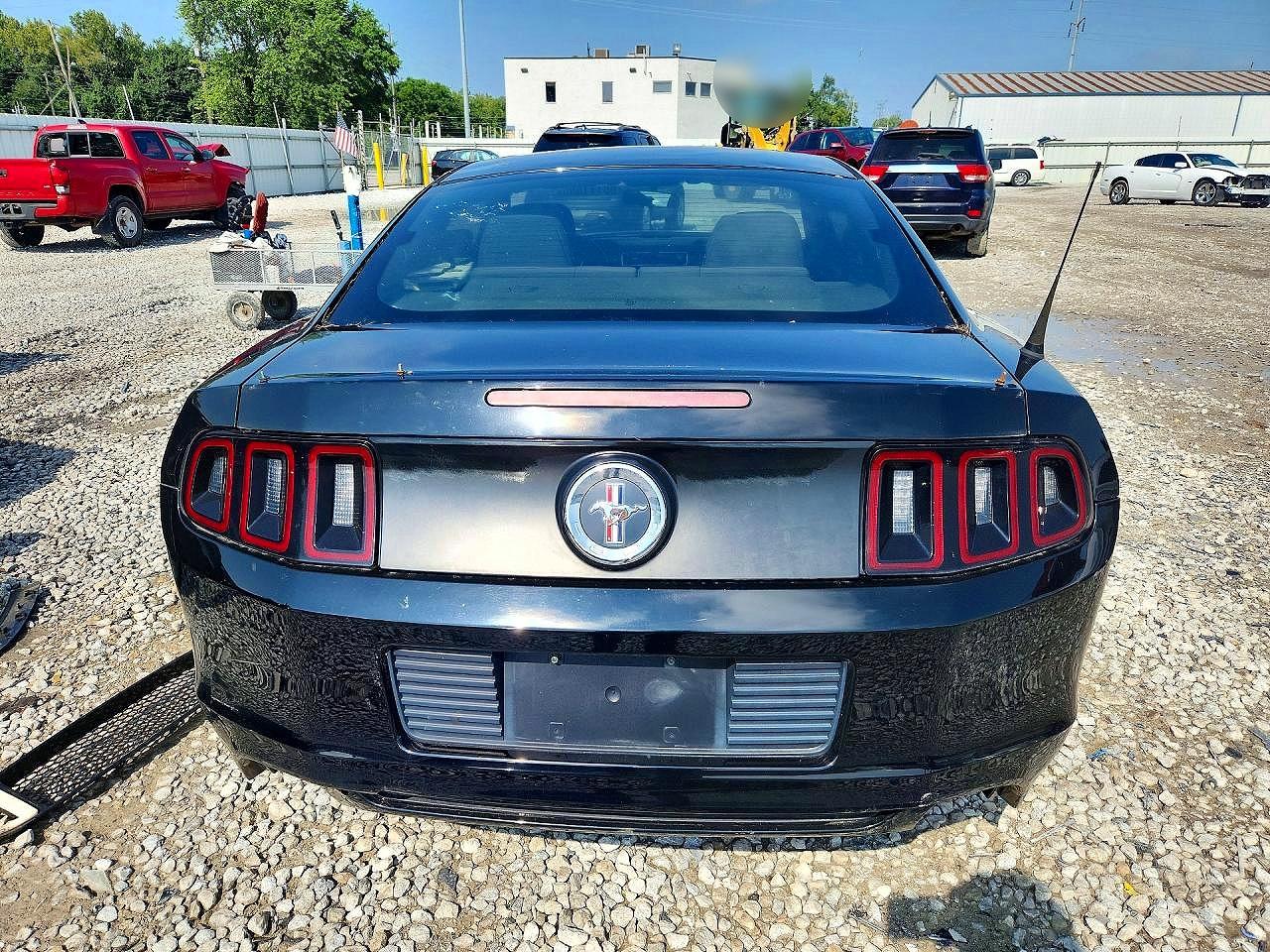 2014 Ford Mustang Black vin: 1ZVBP8AM1E5215964