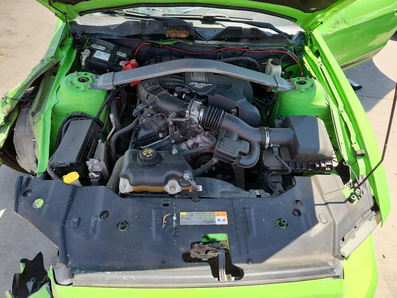 2014 Ford Mustang Green vin: 1ZVBP8AM1E5237544