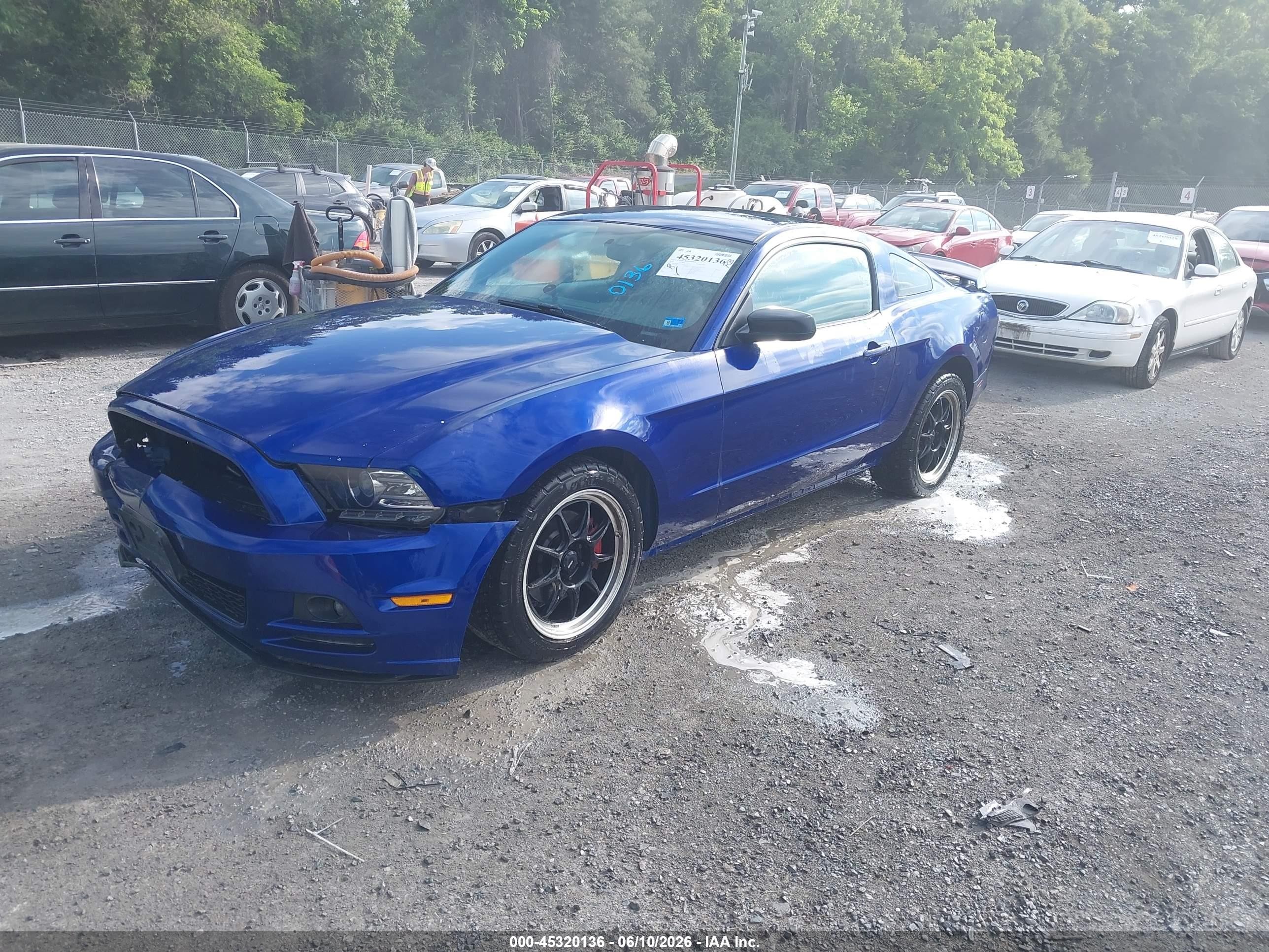 2014 Ford Mustang V6 Blue vin: 1ZVBP8AM1E5244607