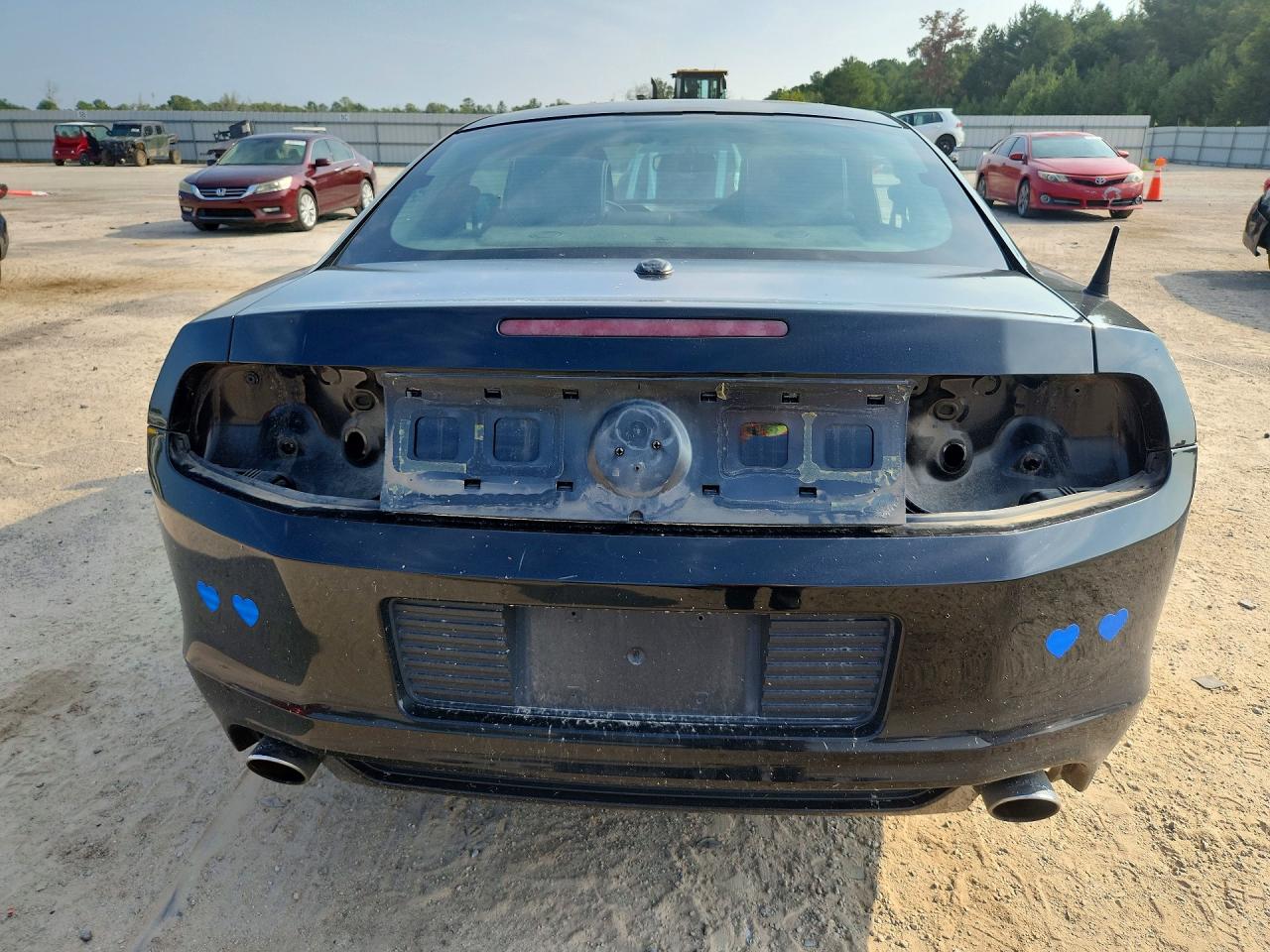 2014 Ford Mustang Black vin: 1ZVBP8AM1E5264484