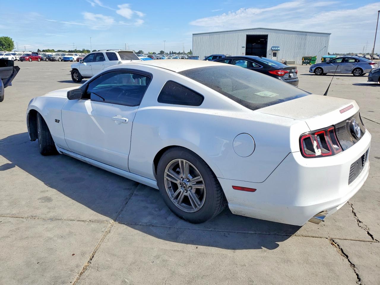 2014 Ford Mustang White vin: 1ZVBP8AM1E5281513