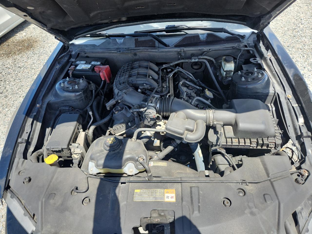 2014 Ford Mustang Black vin: 1ZVBP8AM1E5292110