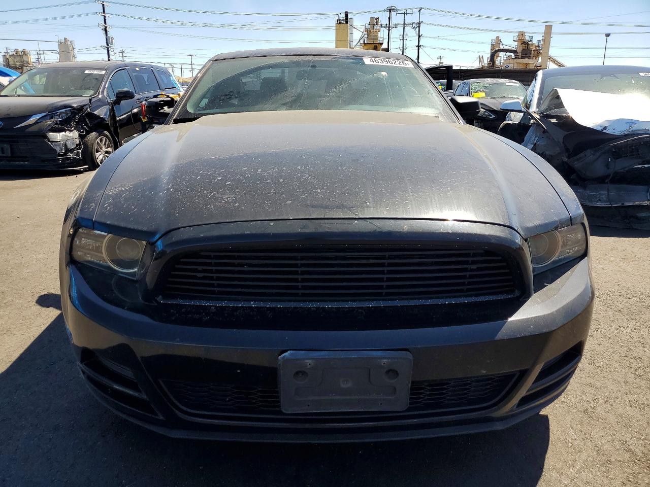 2014 Ford Mustang Black vin: 1ZVBP8AM1E5313683