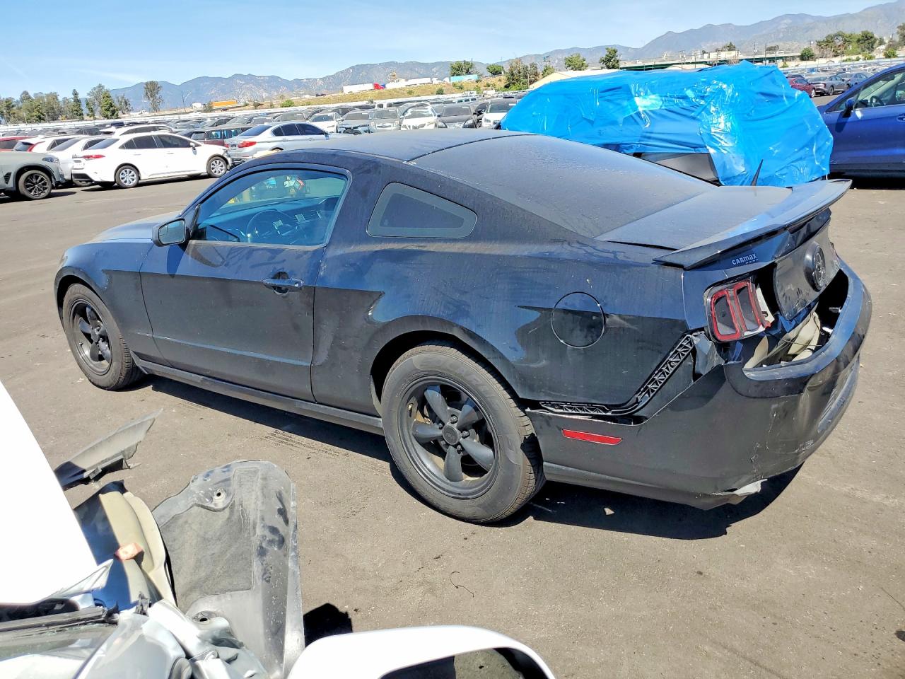 2014 Ford Mustang Black vin: 1ZVBP8AM1E5313683