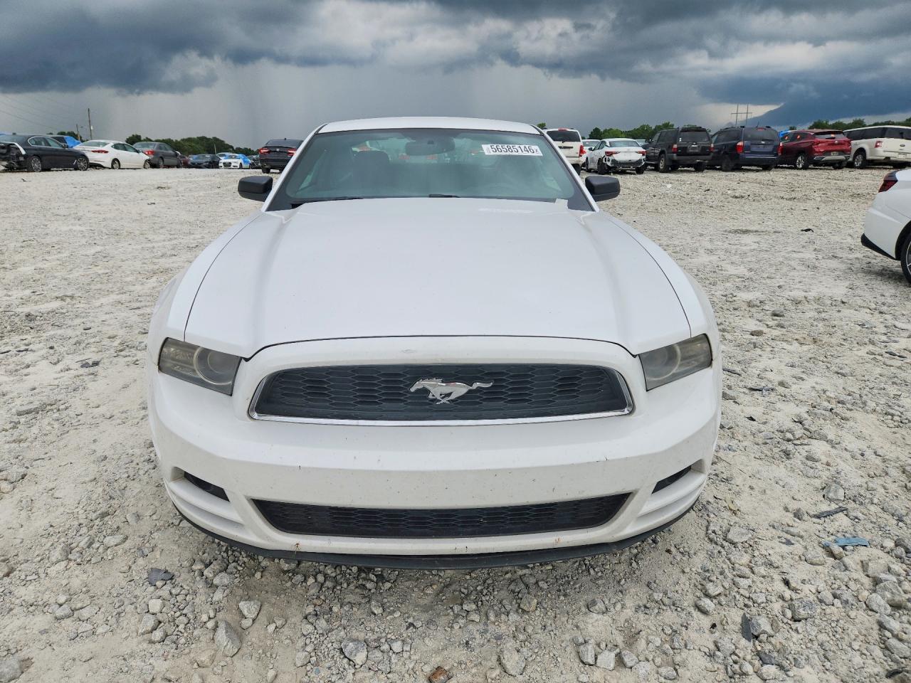 2014 Ford Mustang Белый vin: 1ZVBP8AM1E5313909