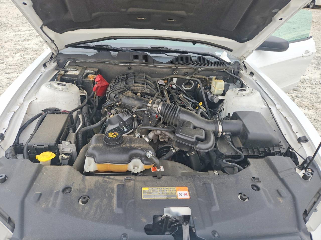 2014 Ford Mustang Белый vin: 1ZVBP8AM1E5313909